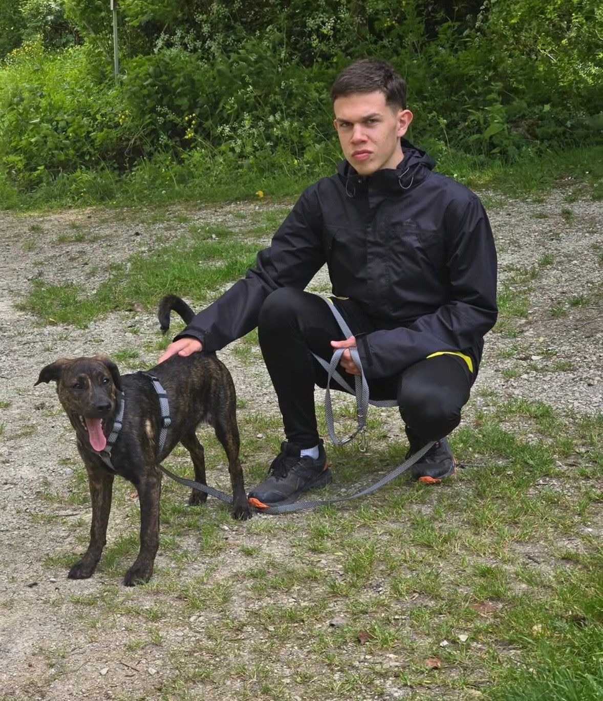 image-7
