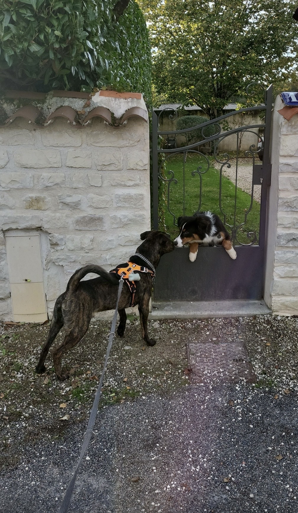 image-5