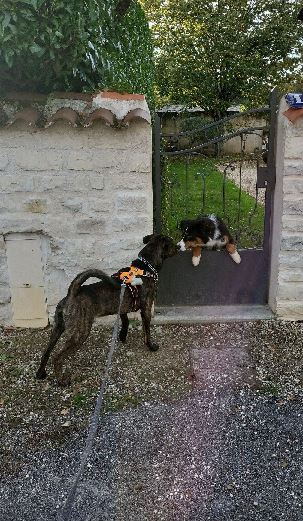 image-5