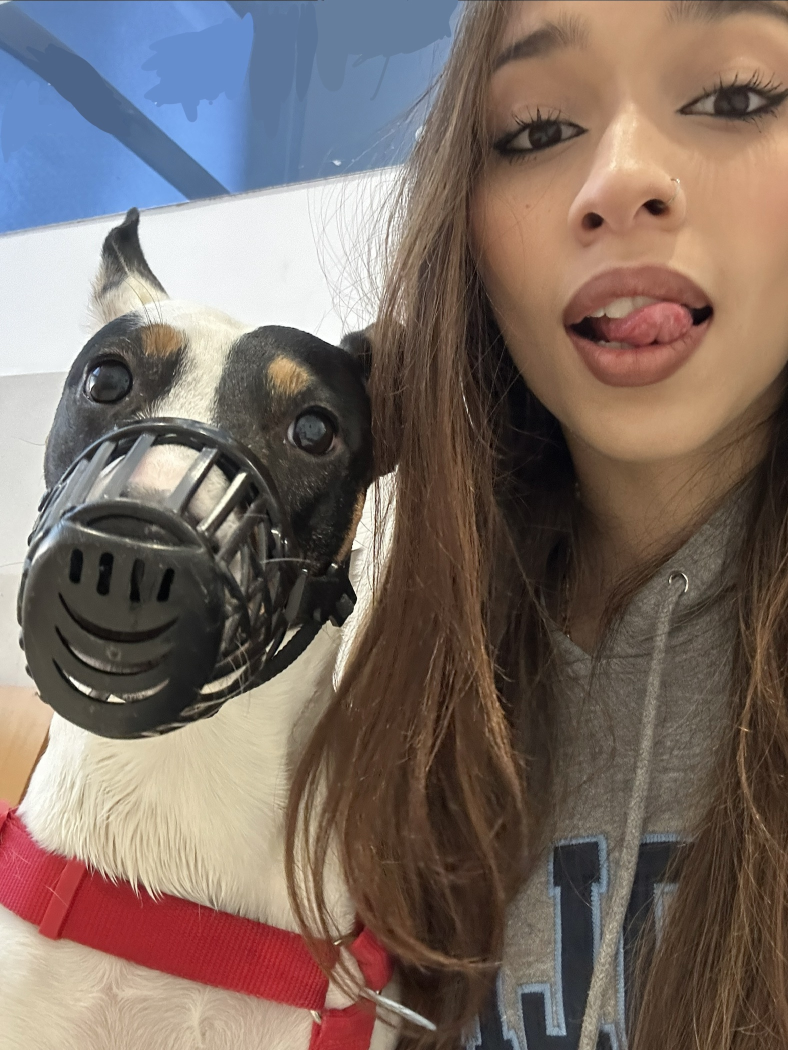 image-8
