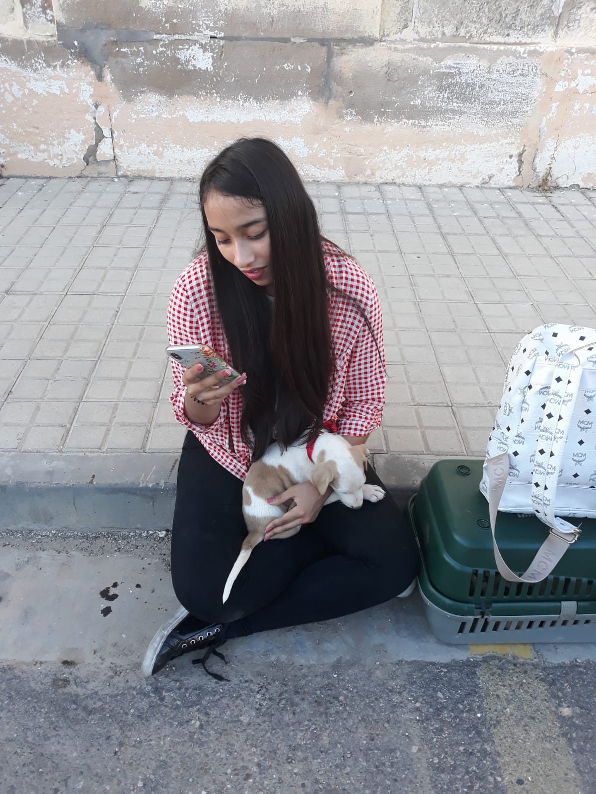 image-7