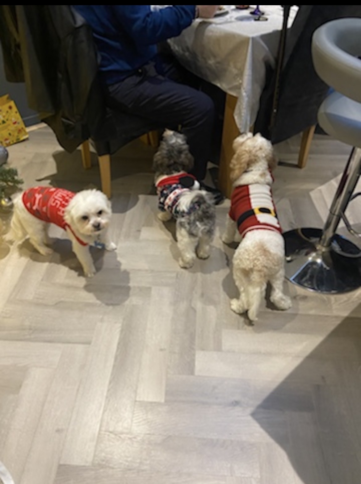 image-12