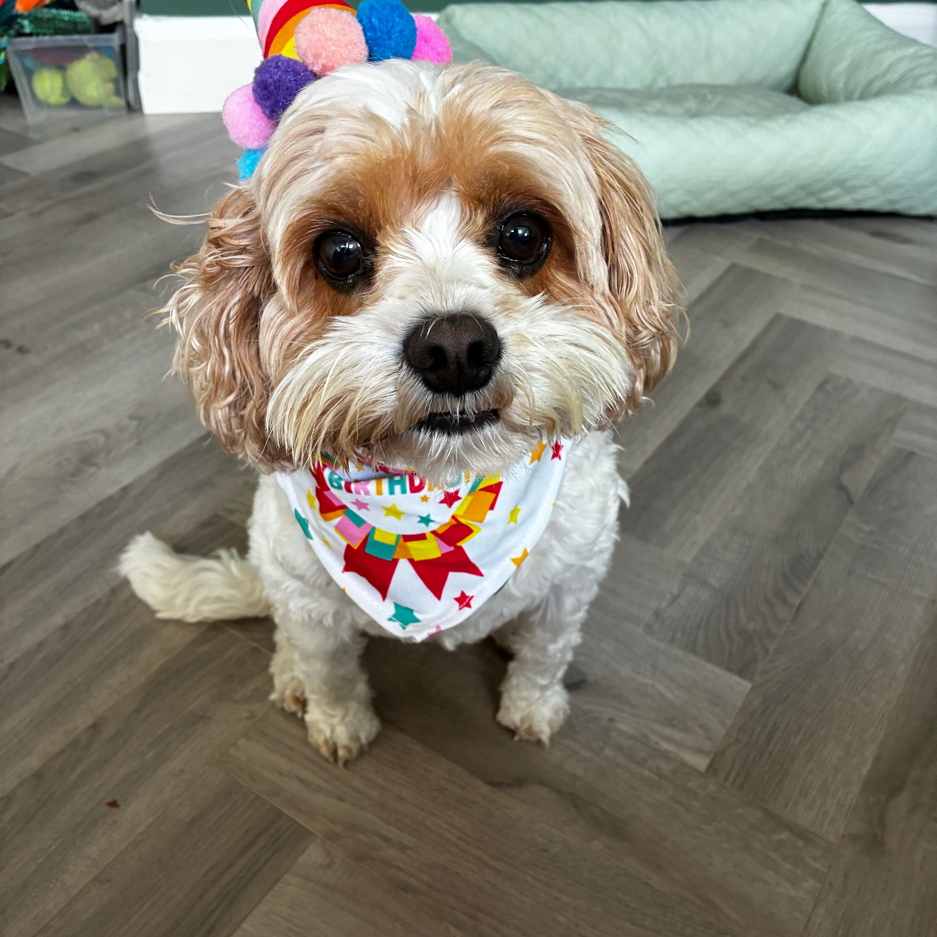Cooper