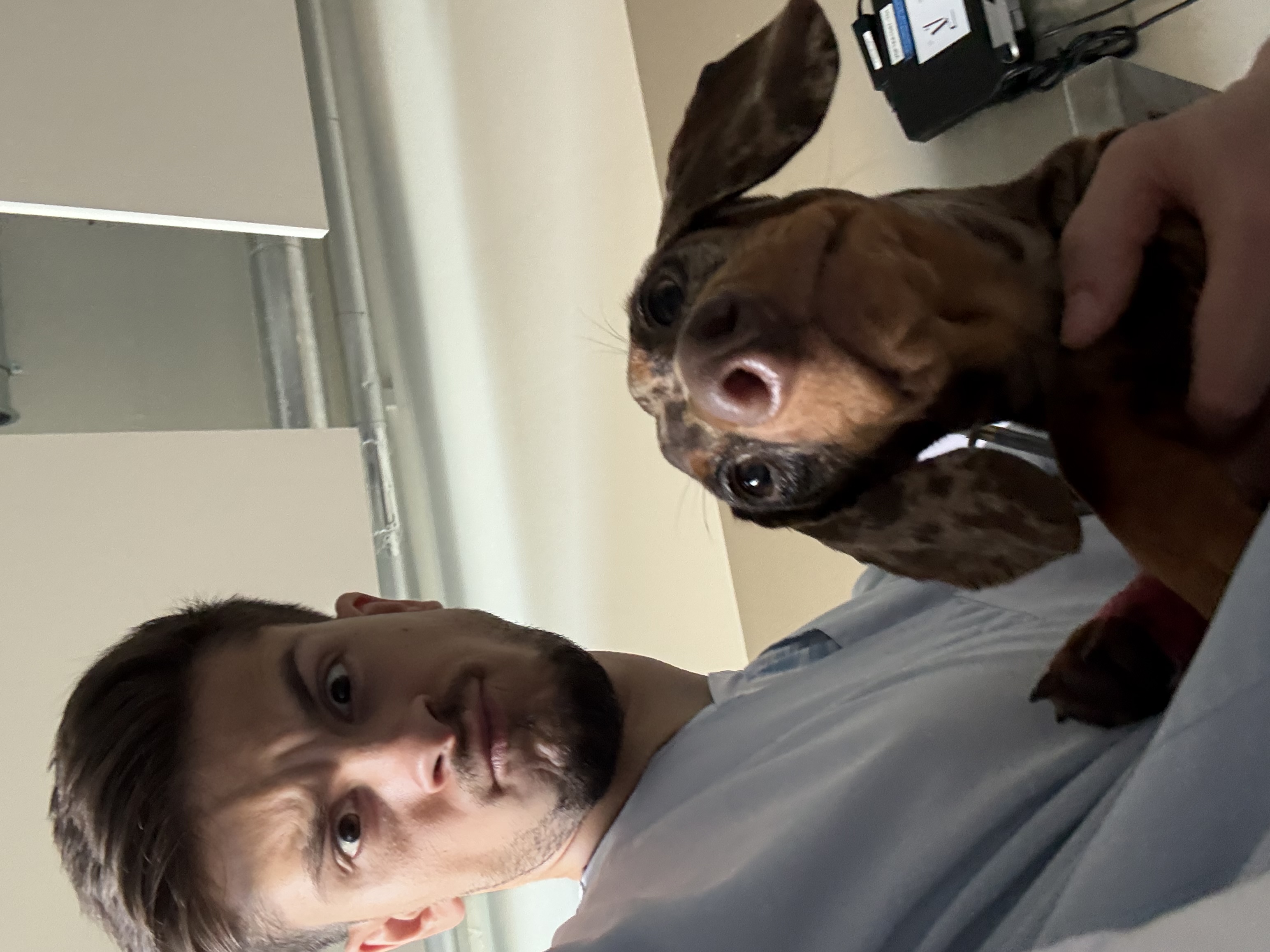 image-9