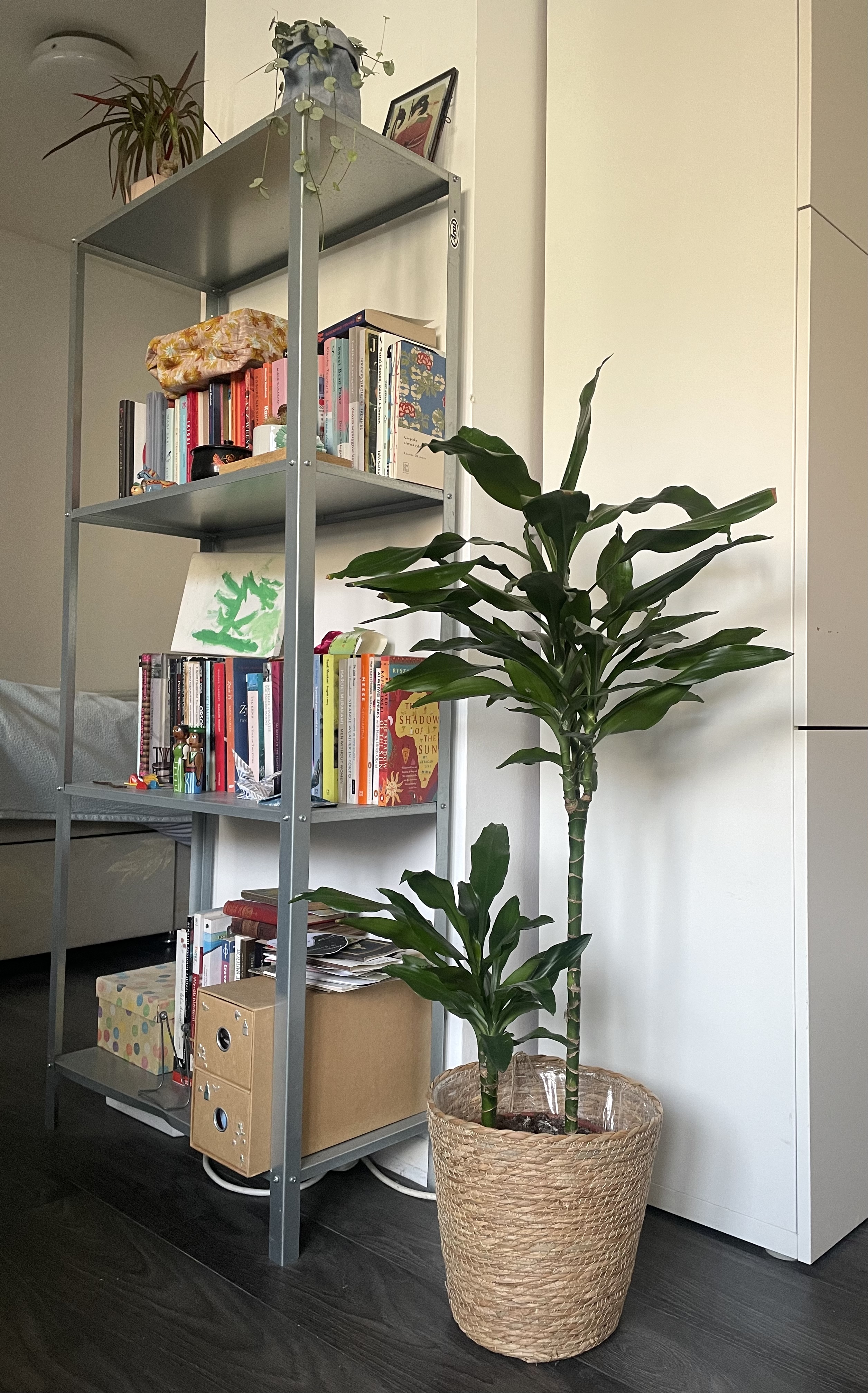 image-10