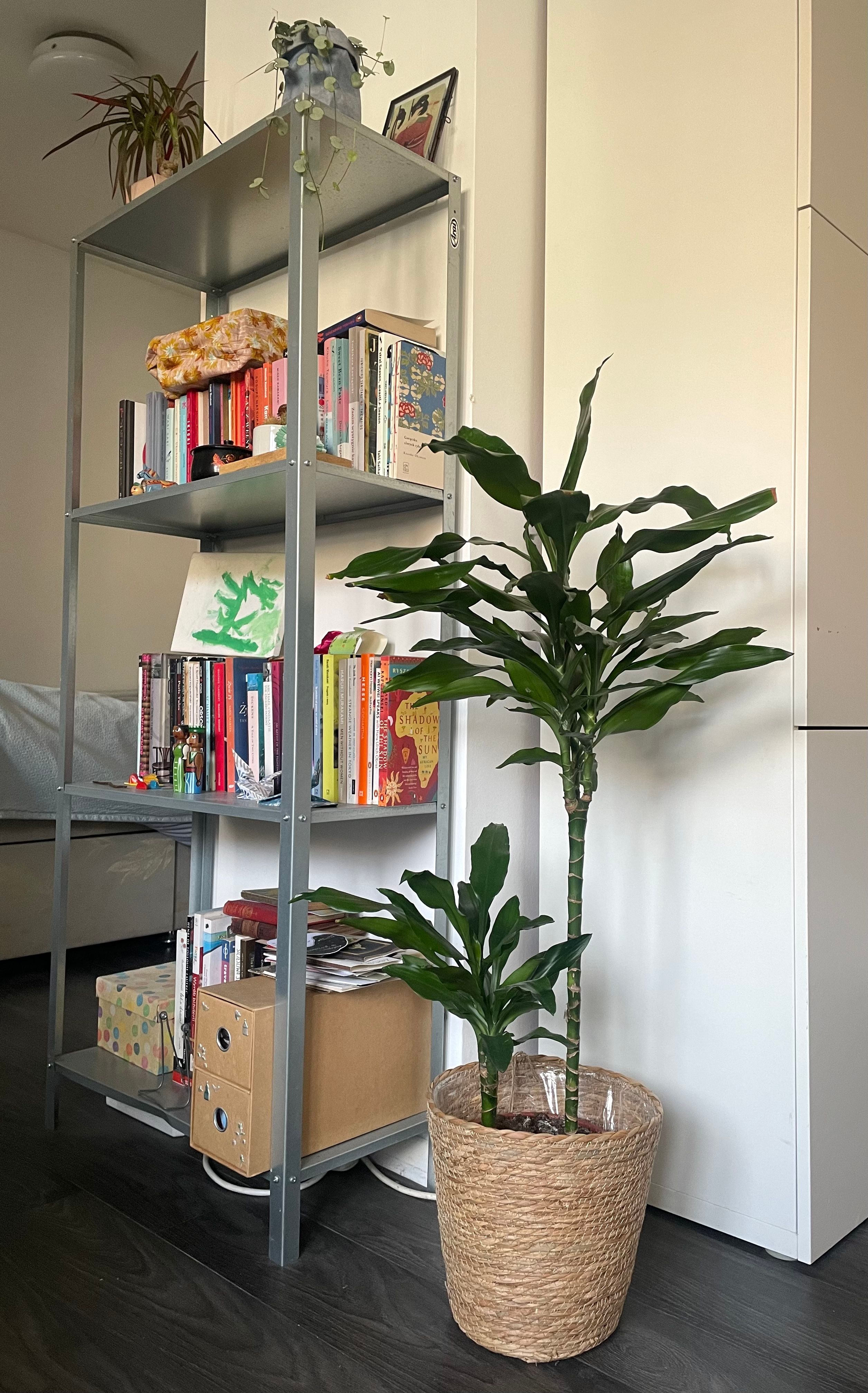 image-10