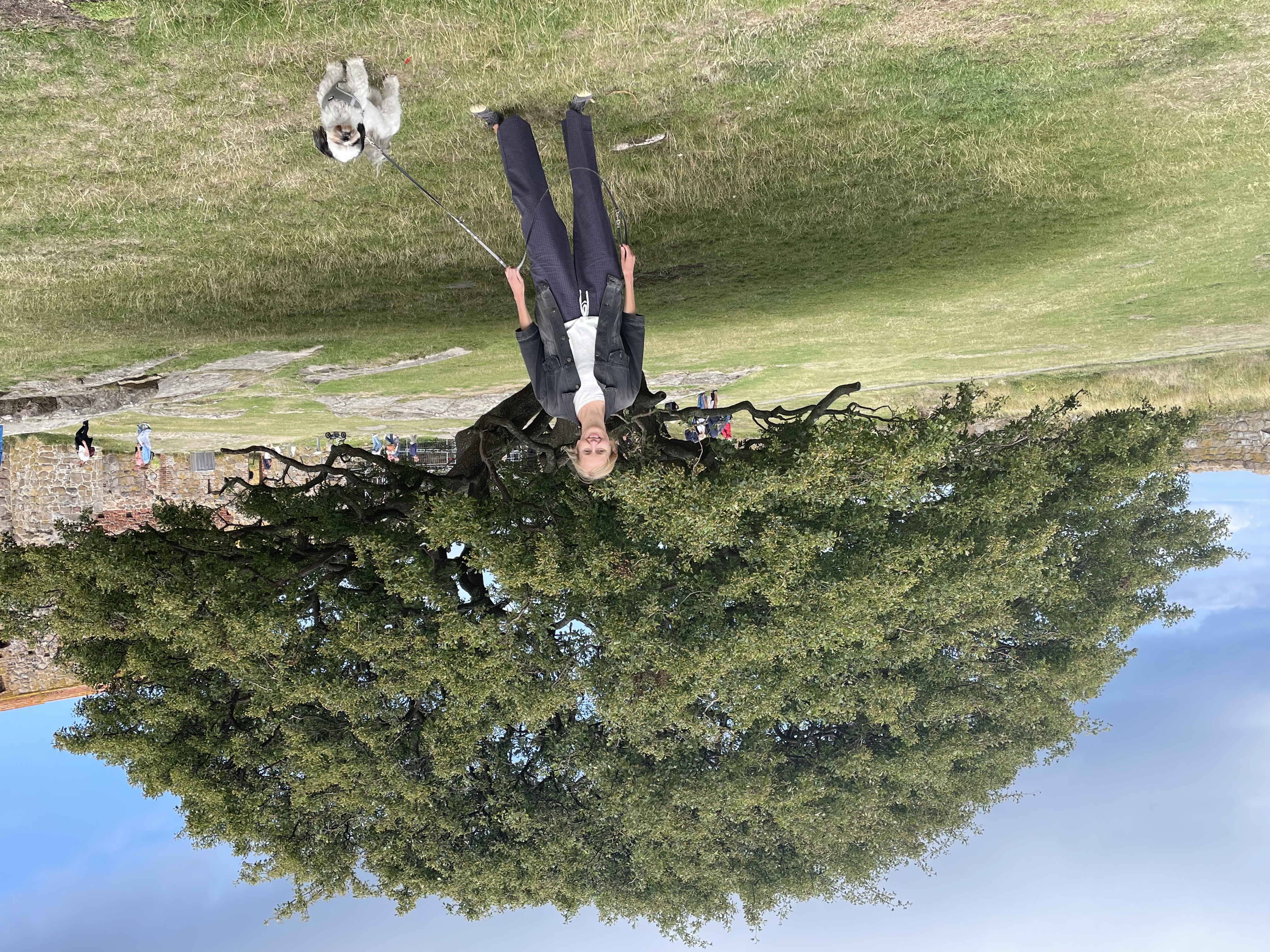 image-4
