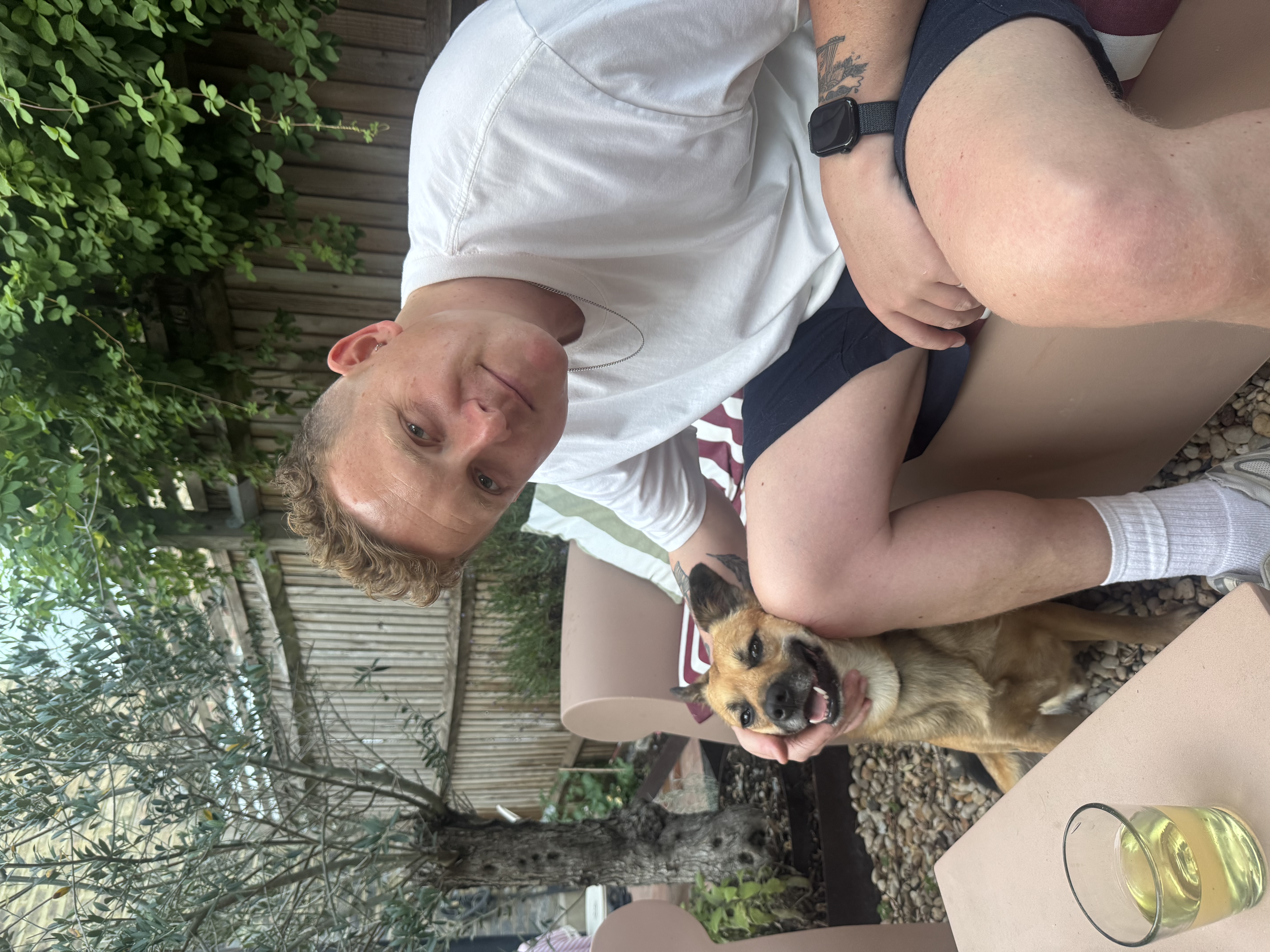 image-21