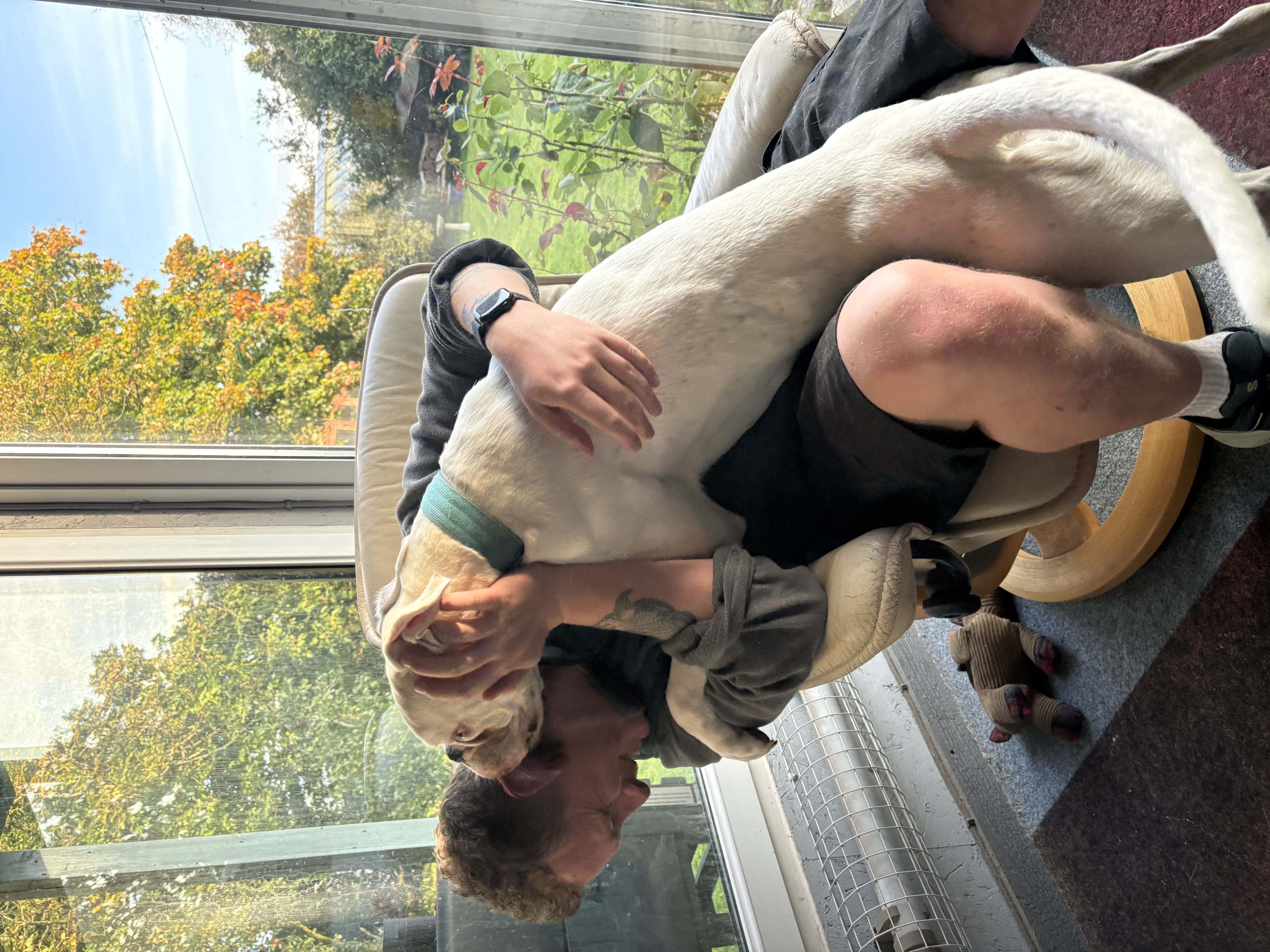 image-11