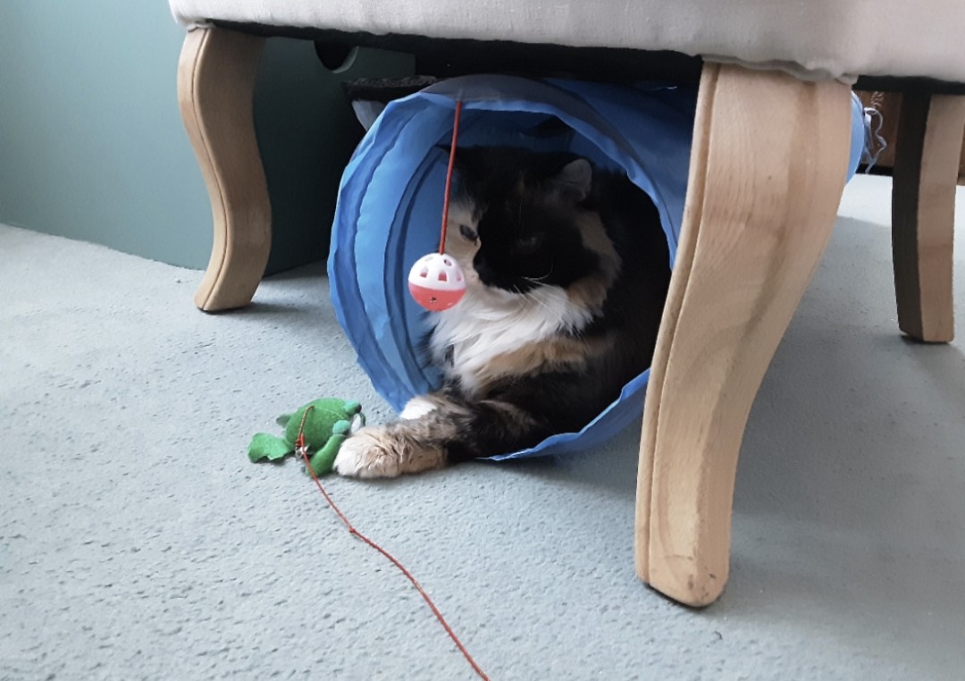 image-8