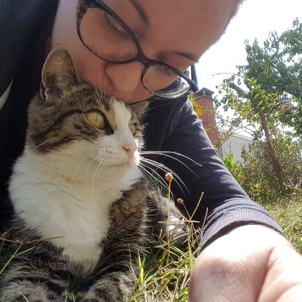 Disney - living in France