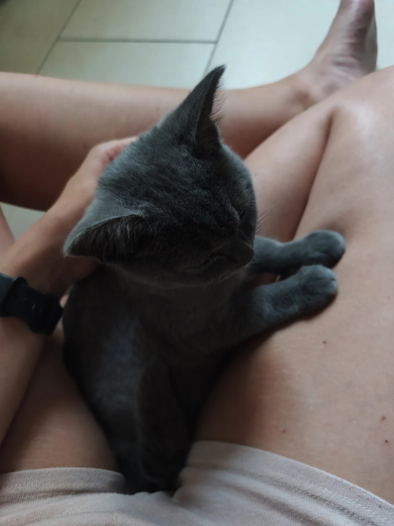 image-5