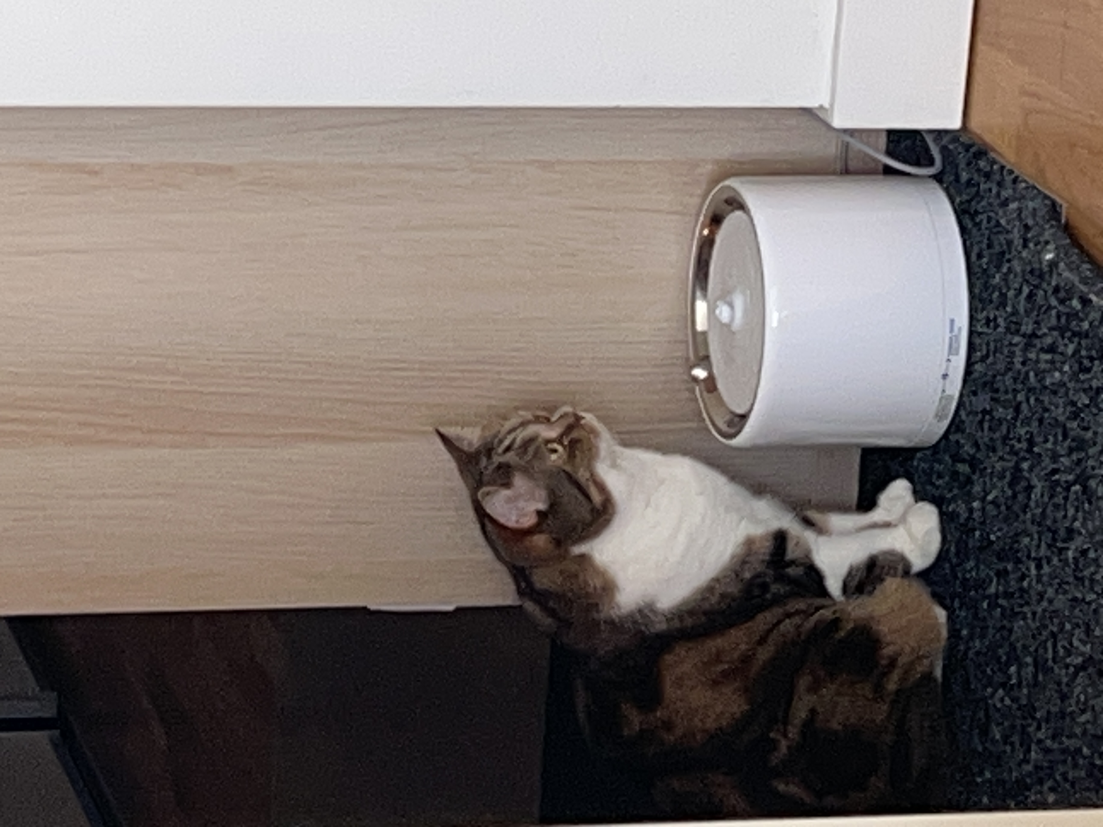 image-10