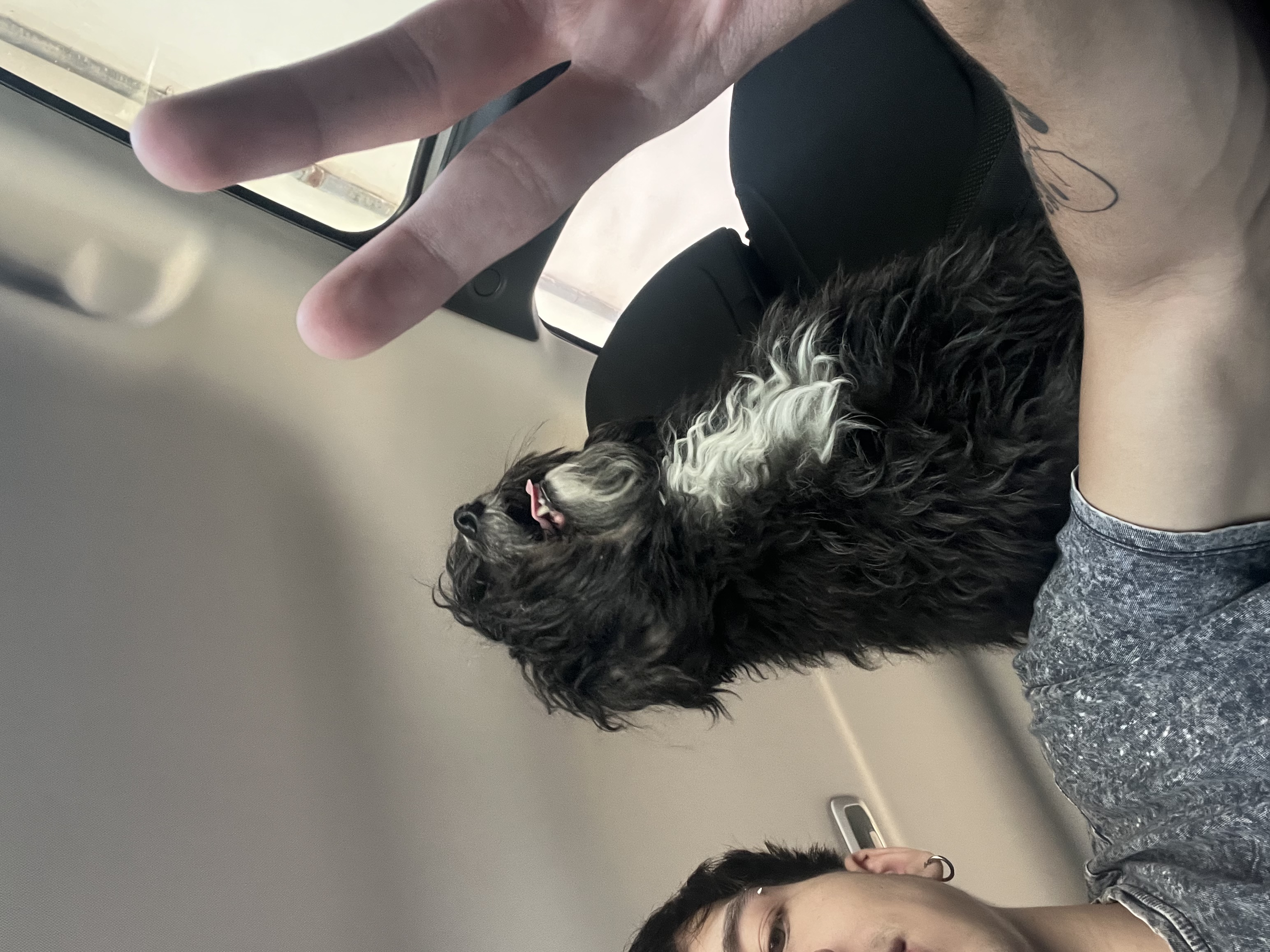 image-7