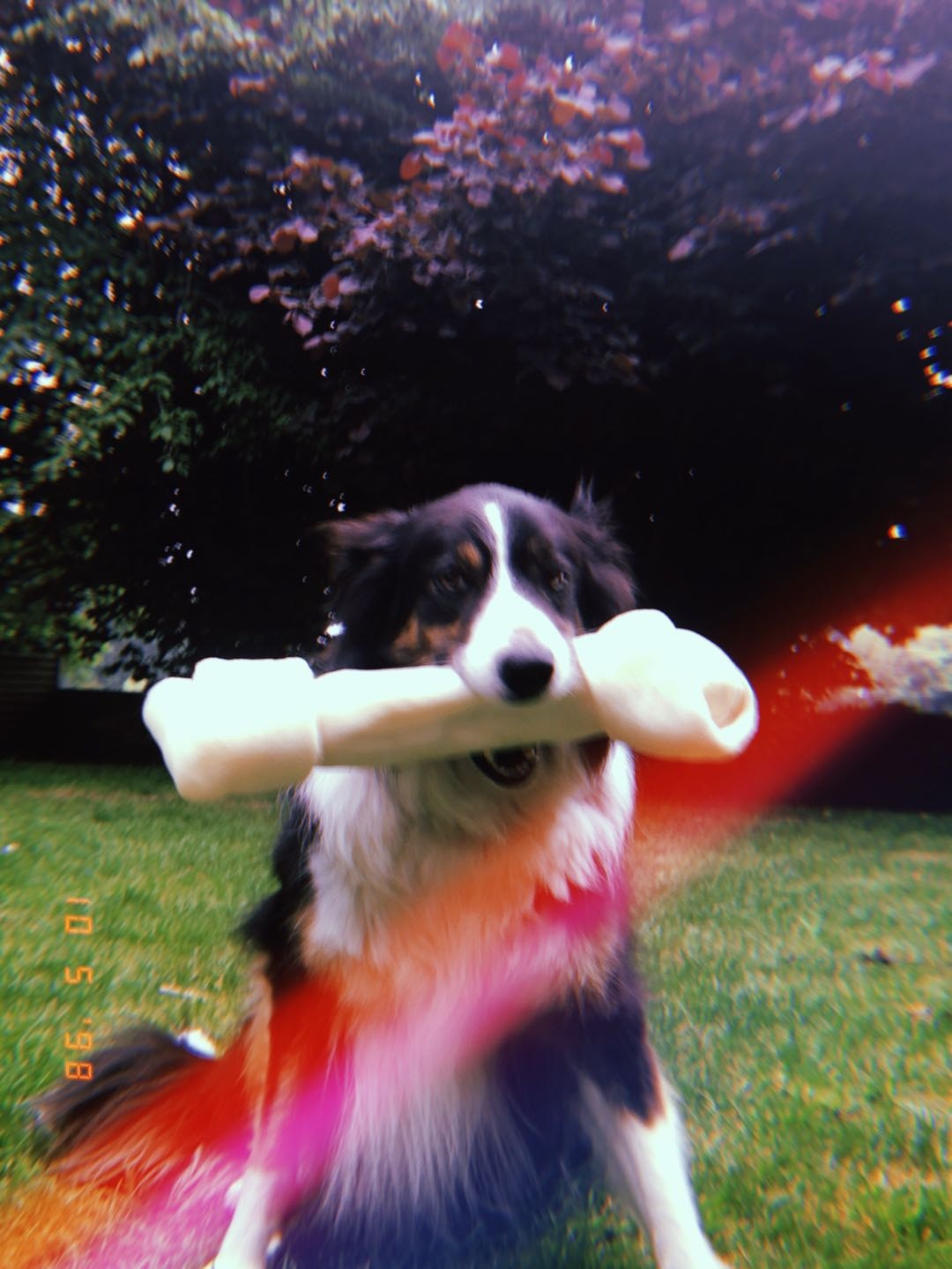 image-8