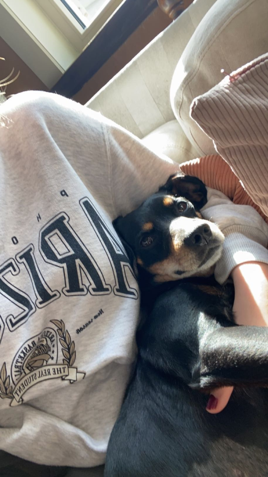 image-13