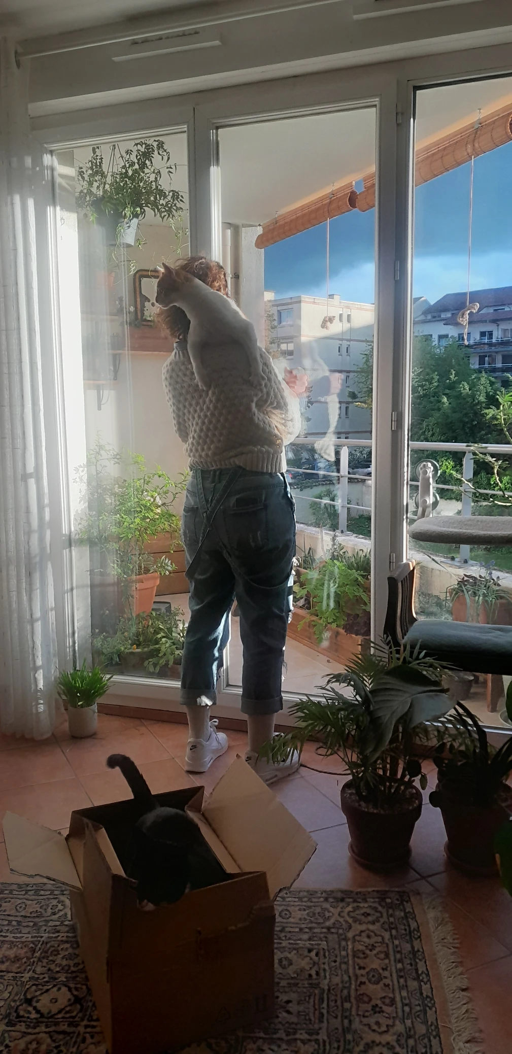 image-8