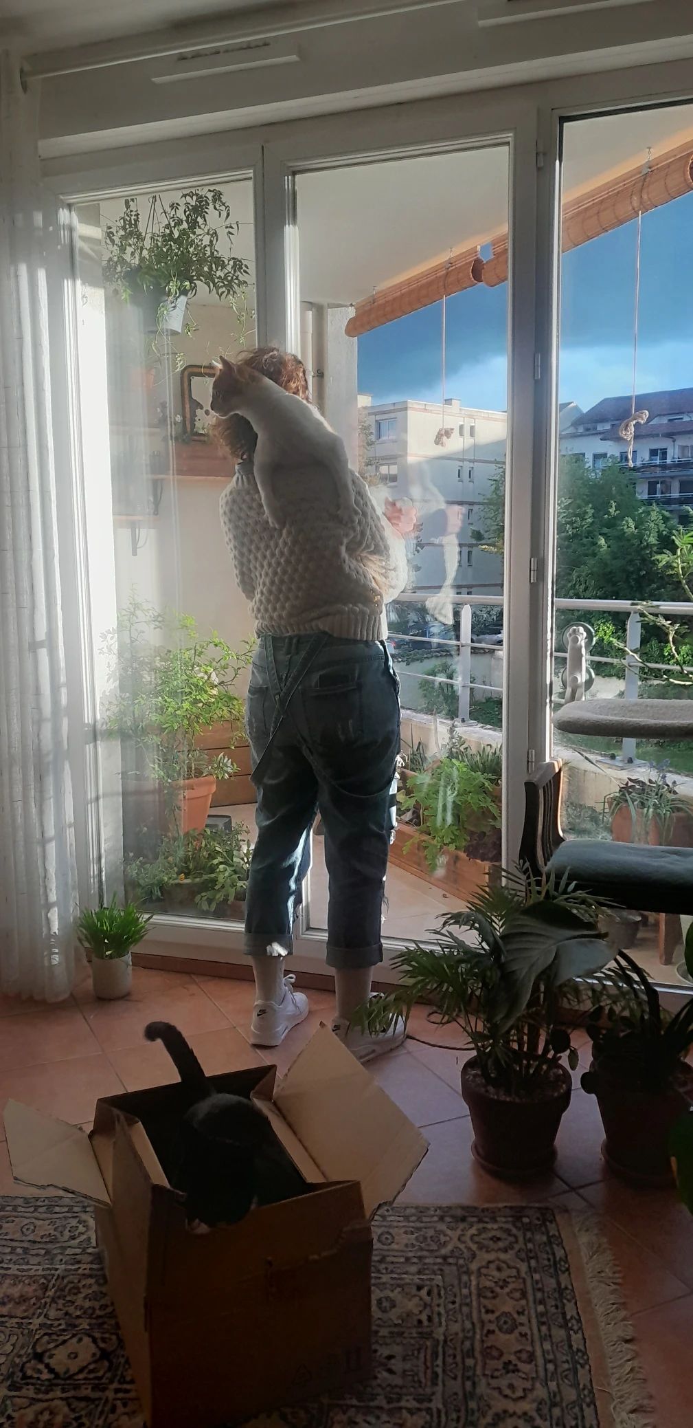 image-8