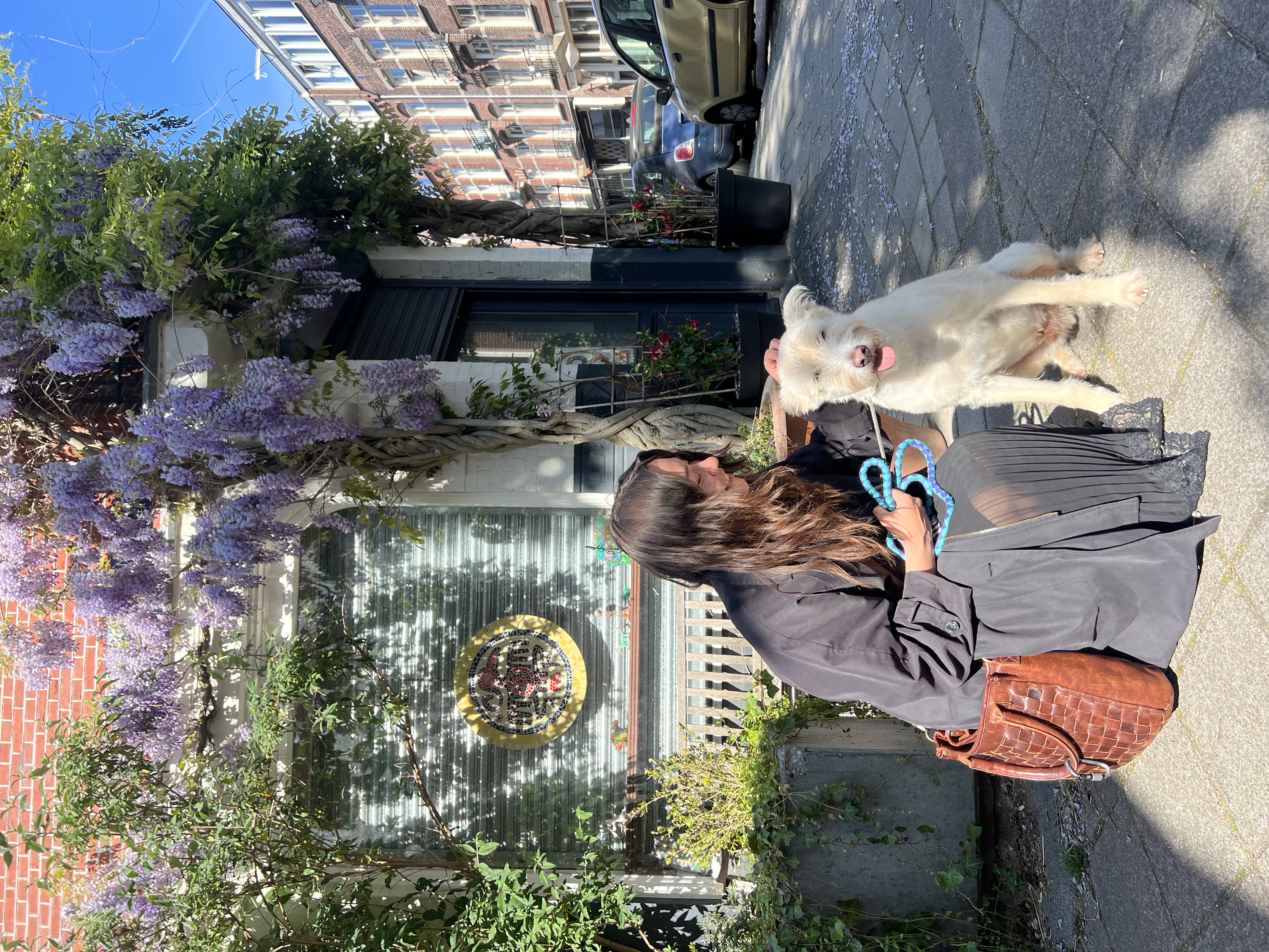 image-16