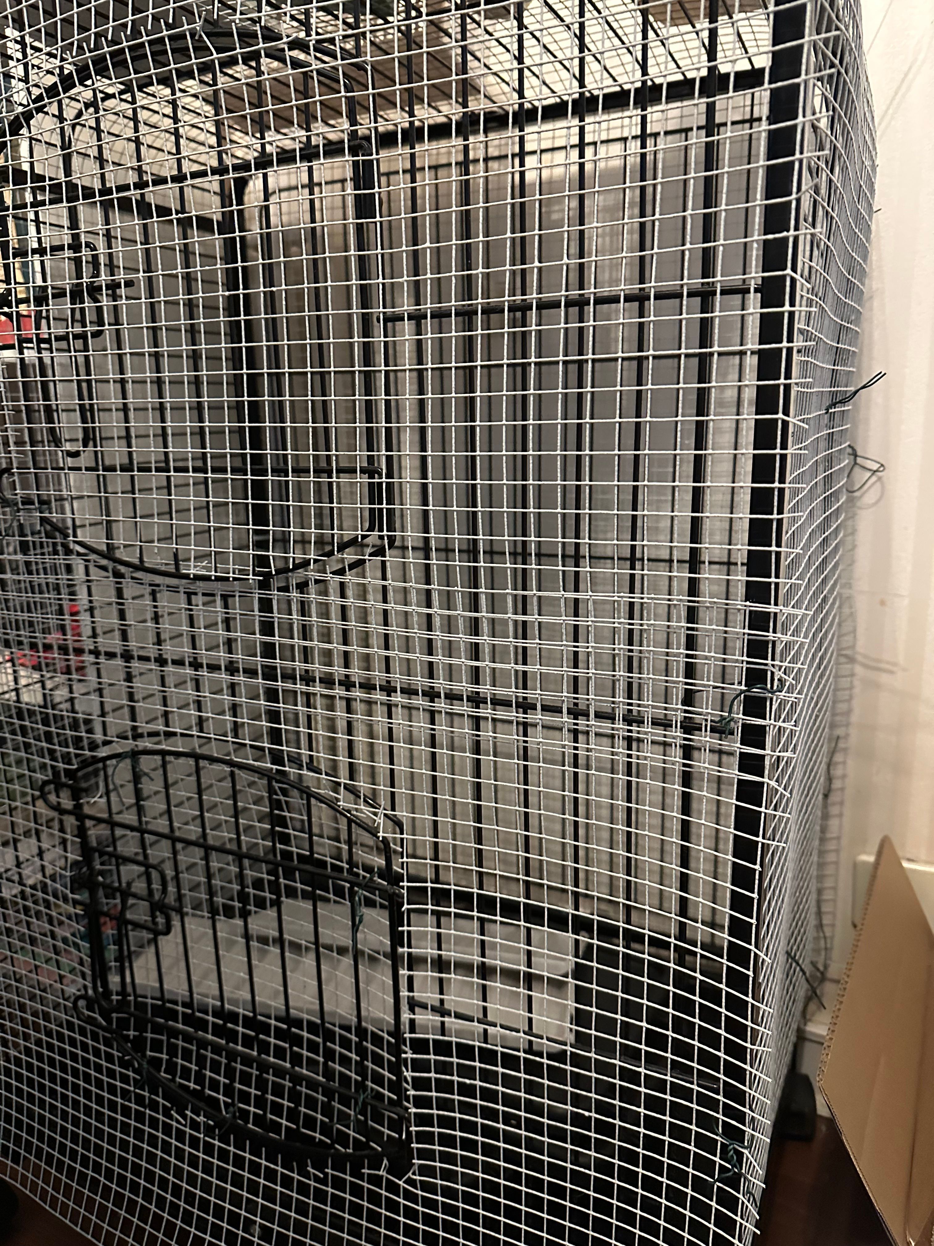 image-13