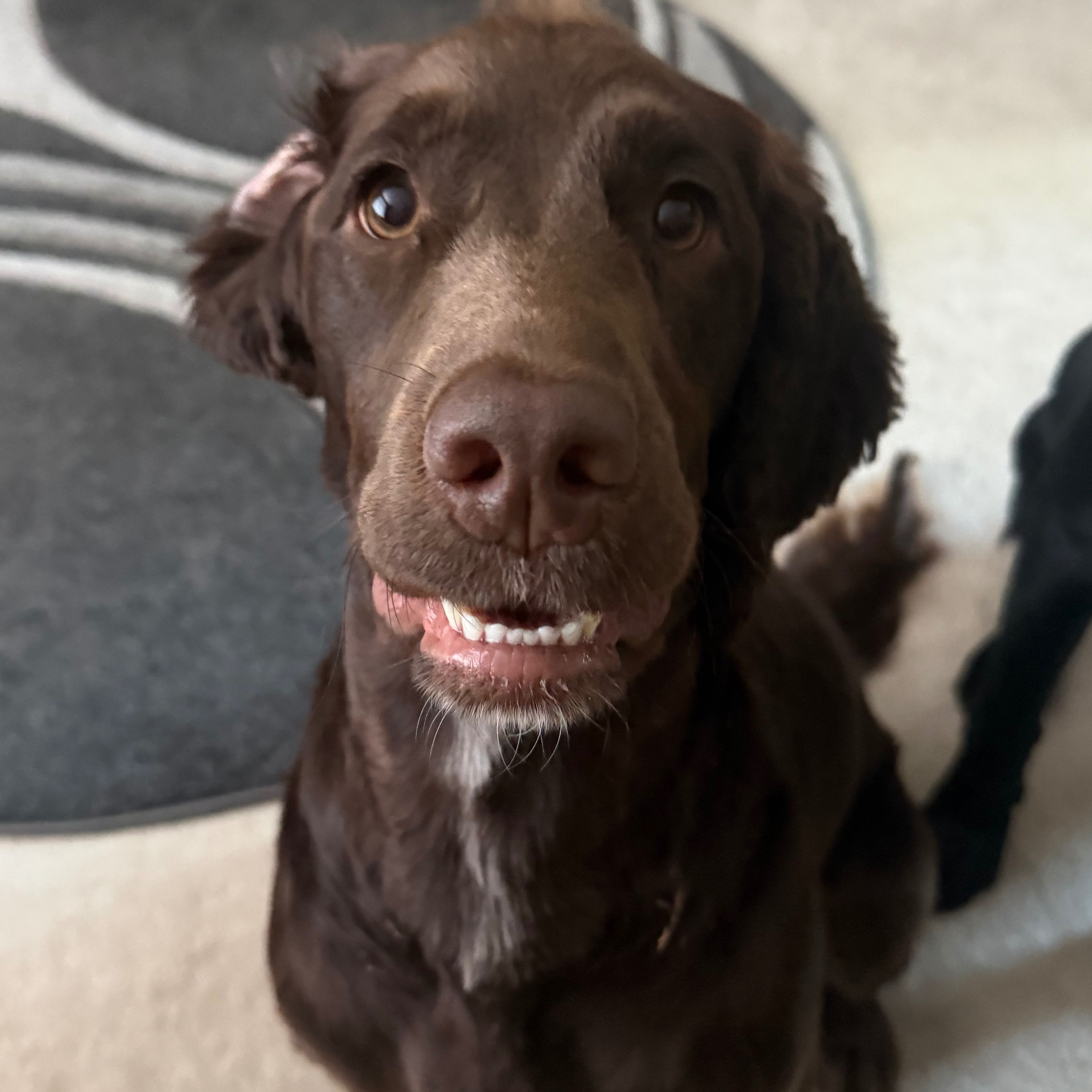 Ella