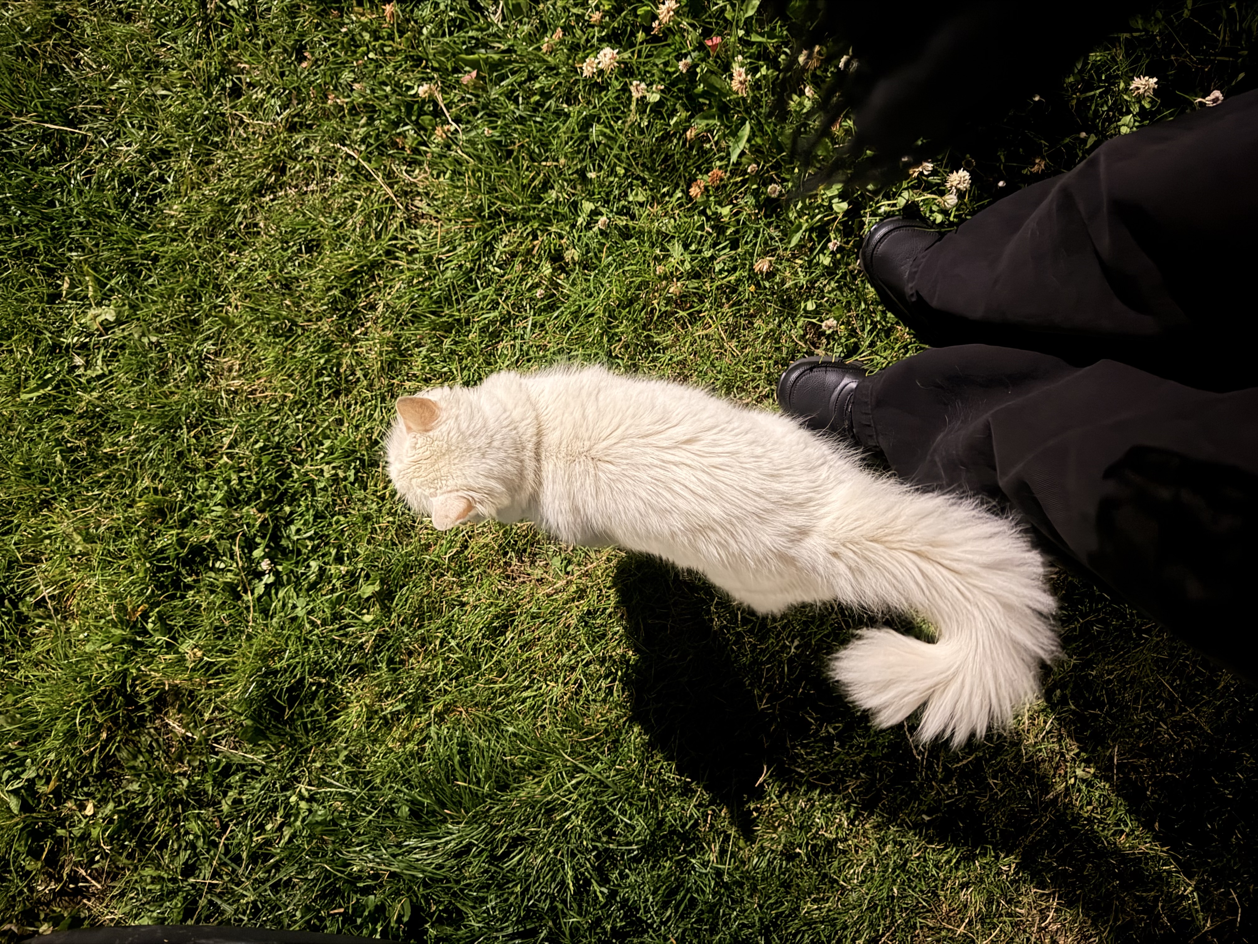 image-5