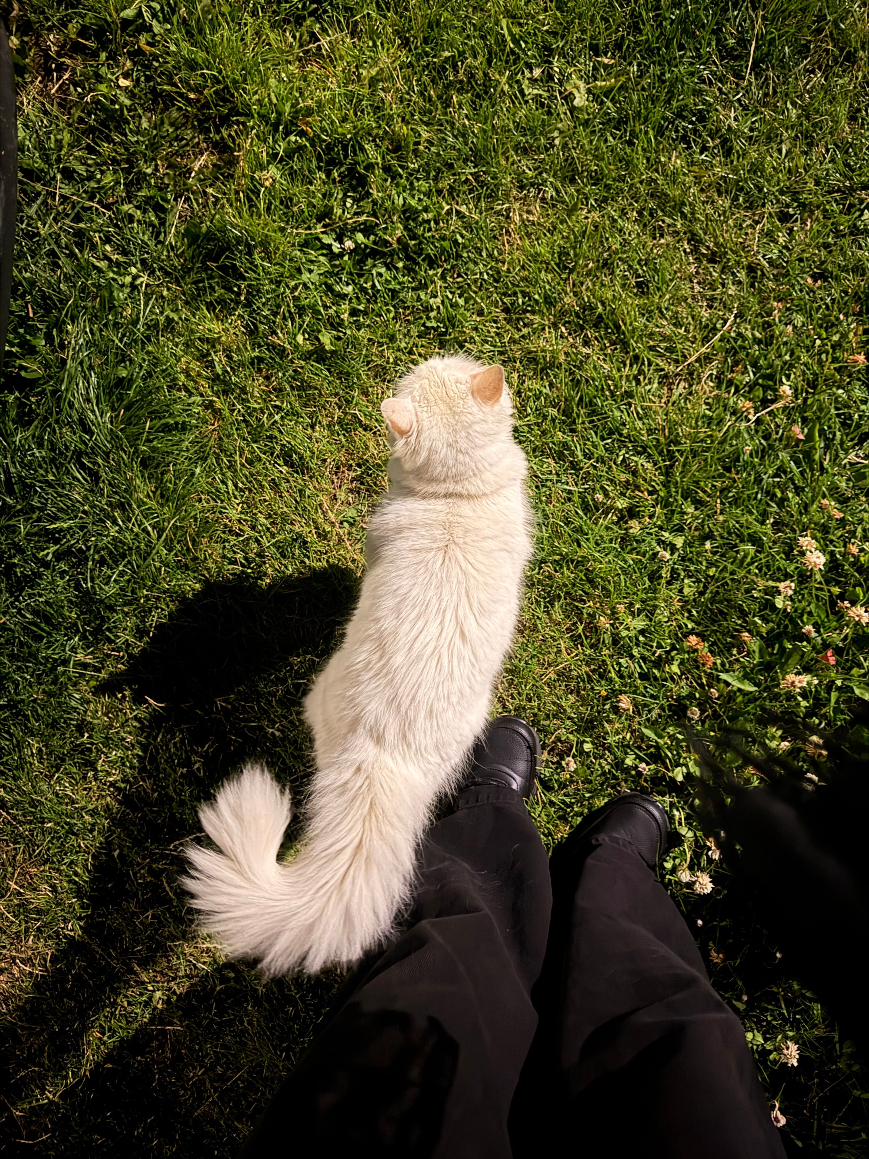 image-5