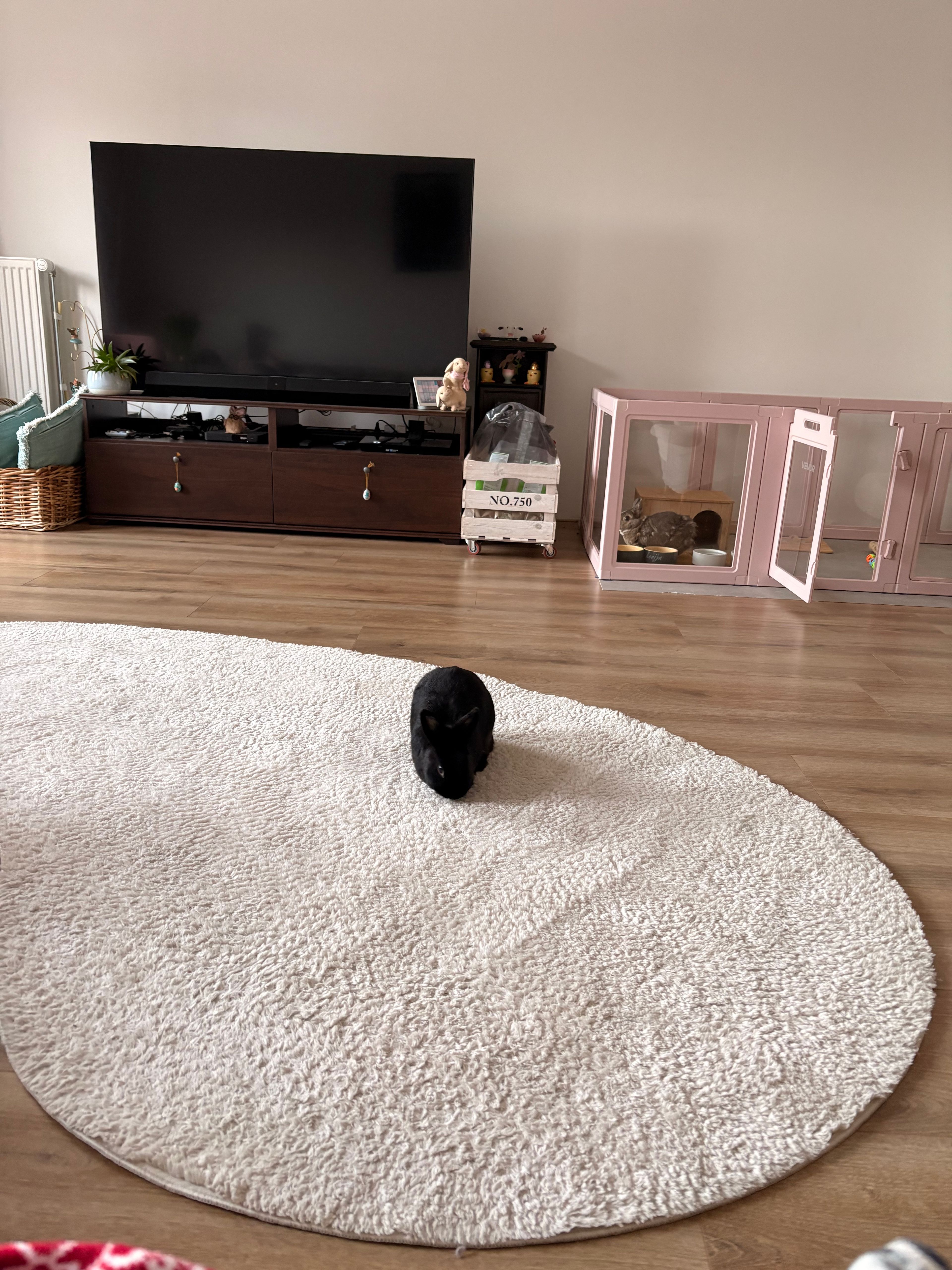 image-17