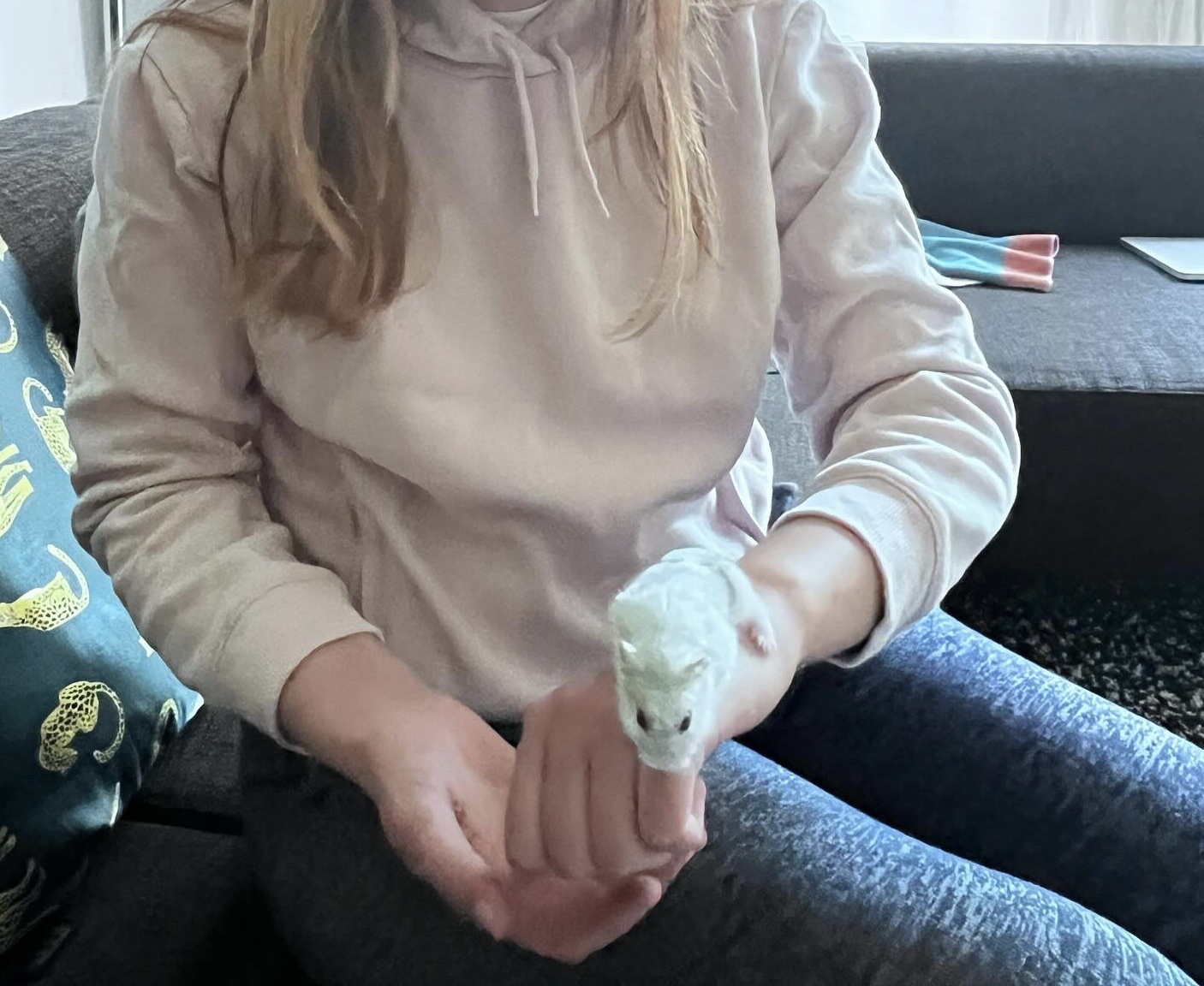 image-6