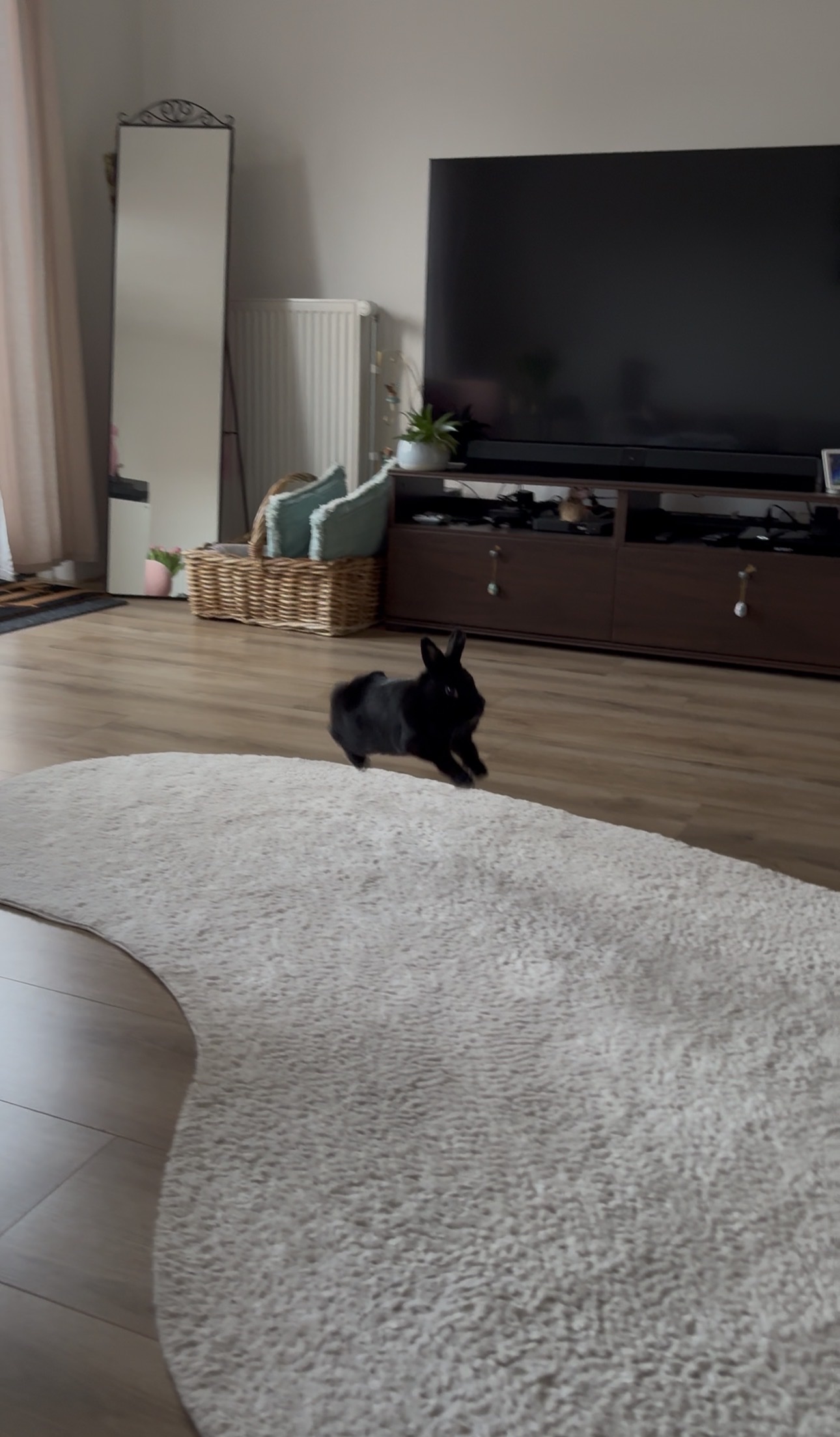 image-19