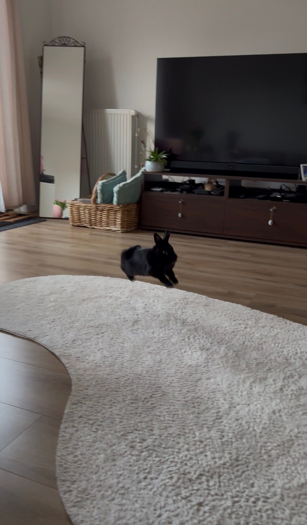 image-19