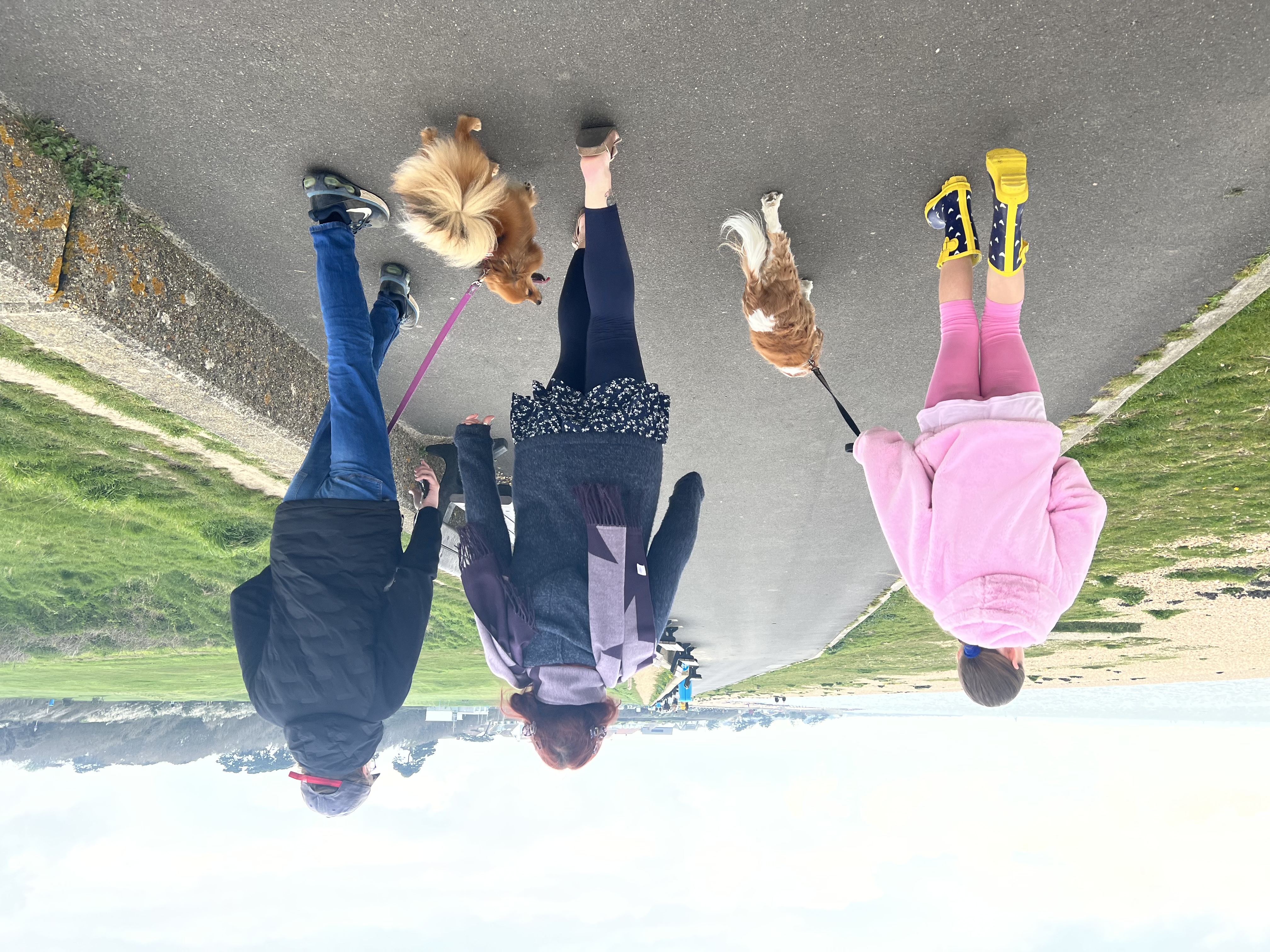image-8