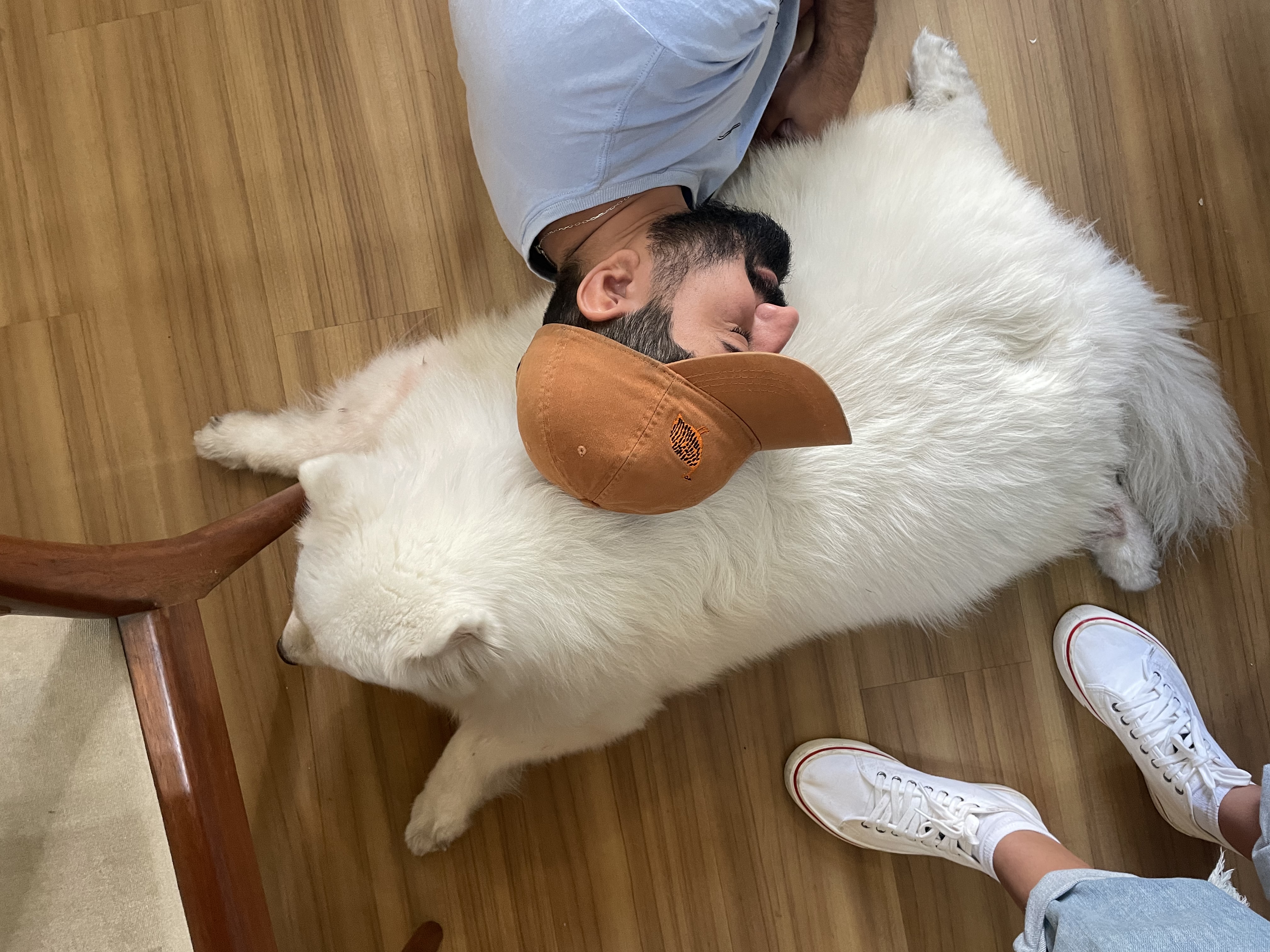 image-9