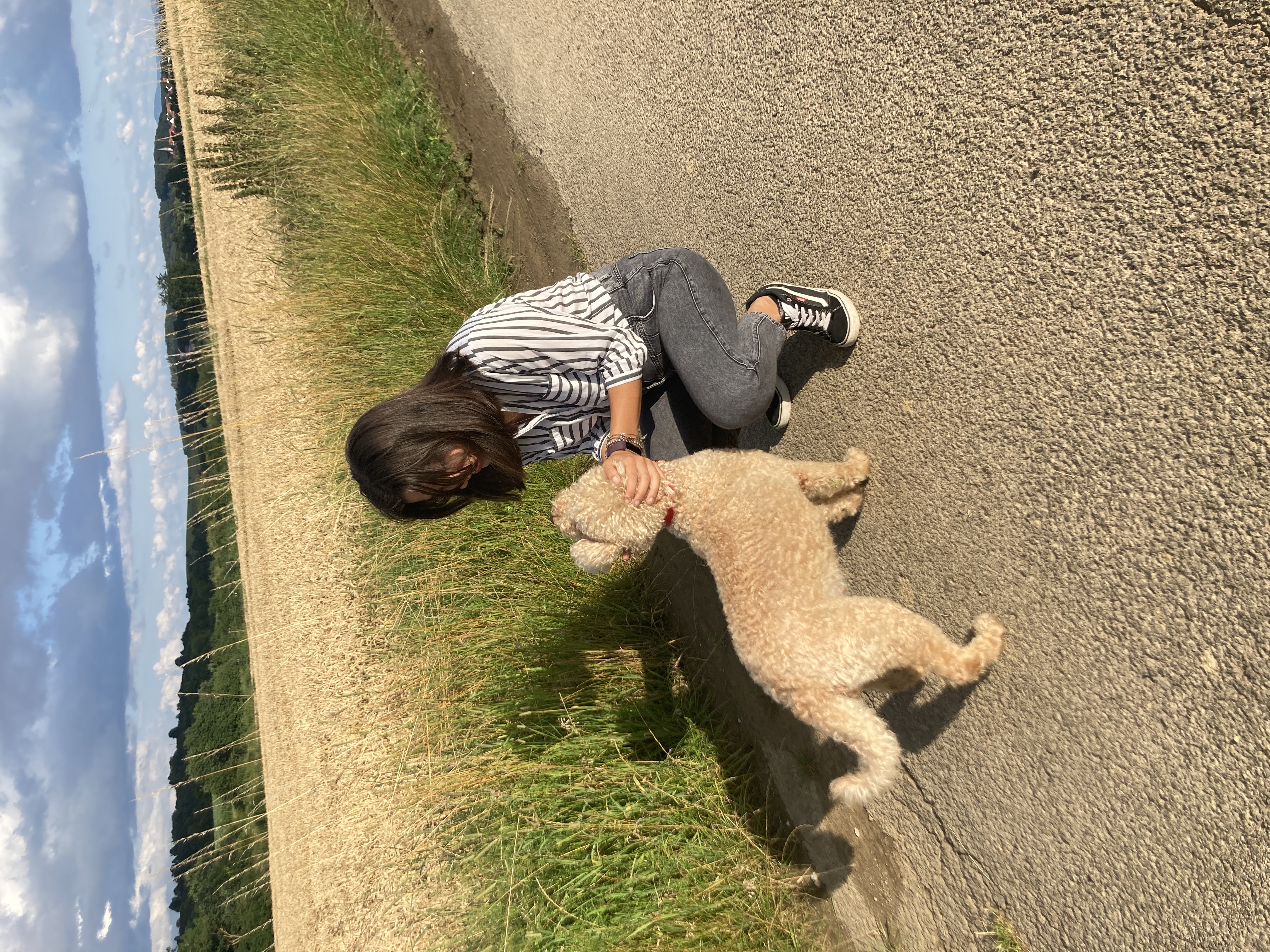 image-7