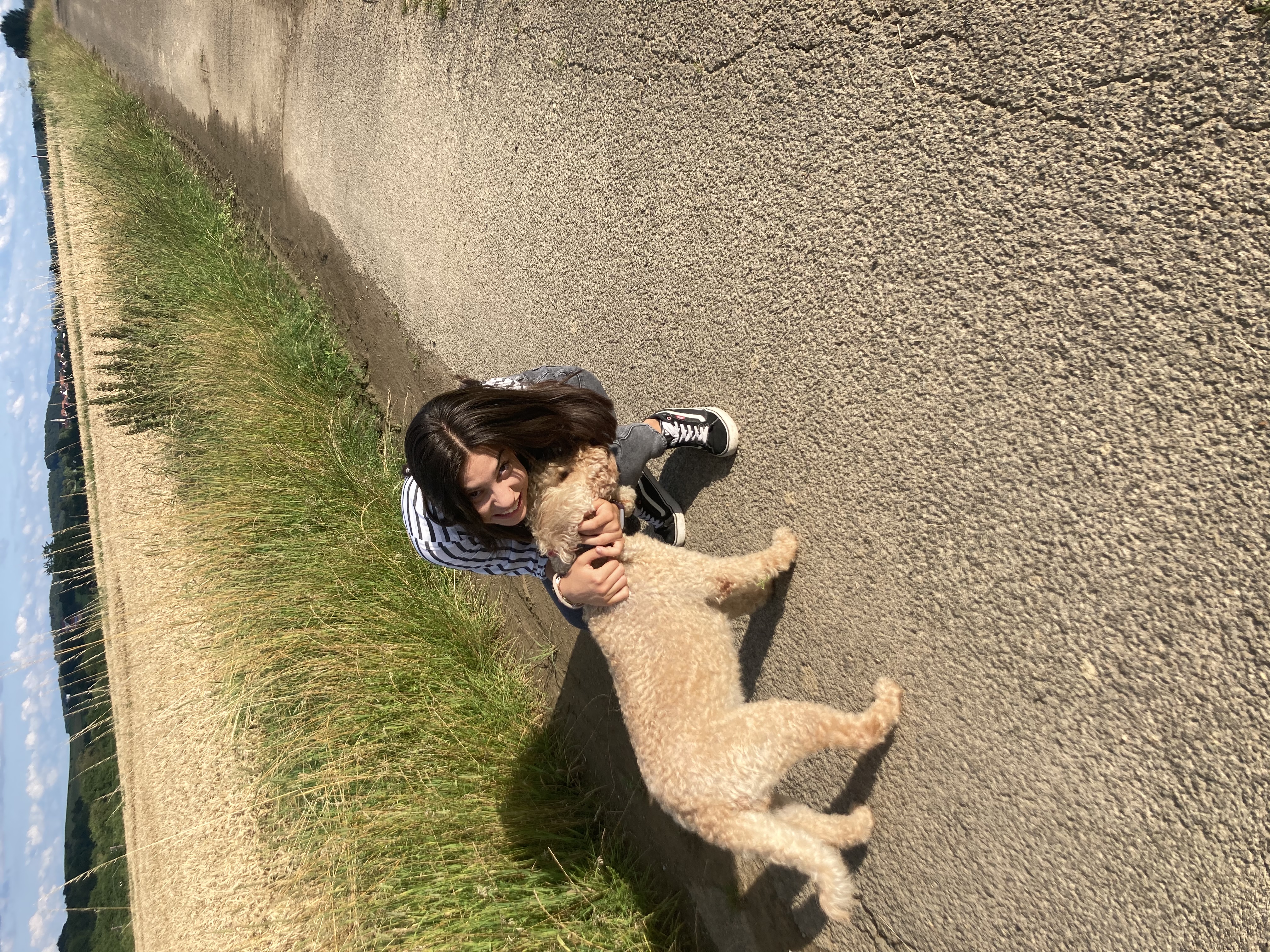 image-6