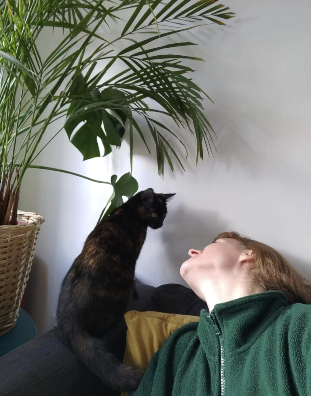 image-10
