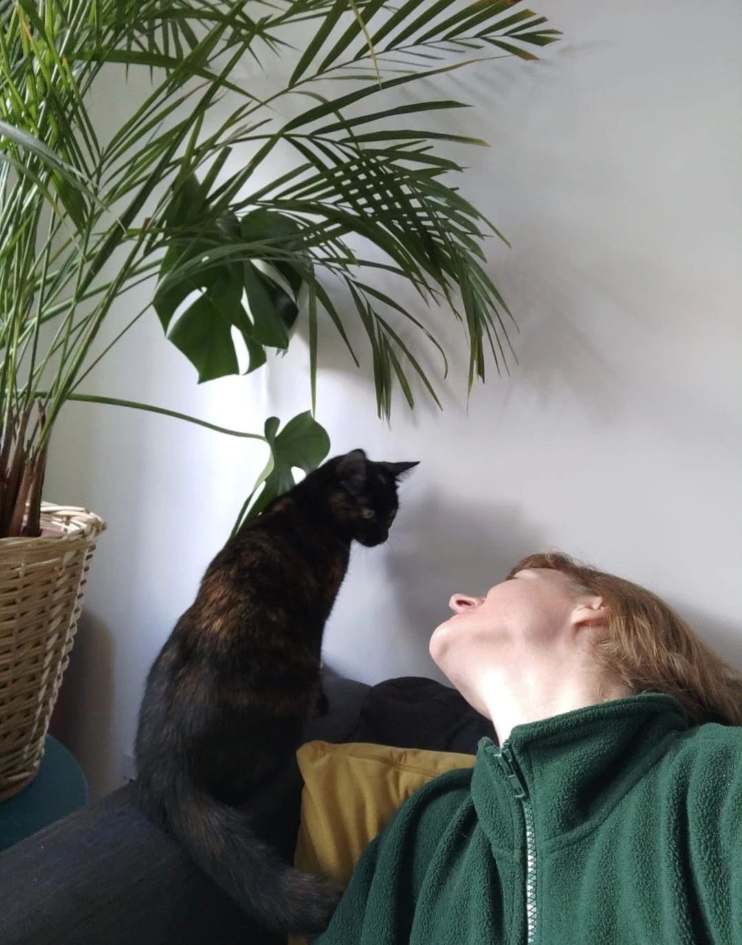 image-10