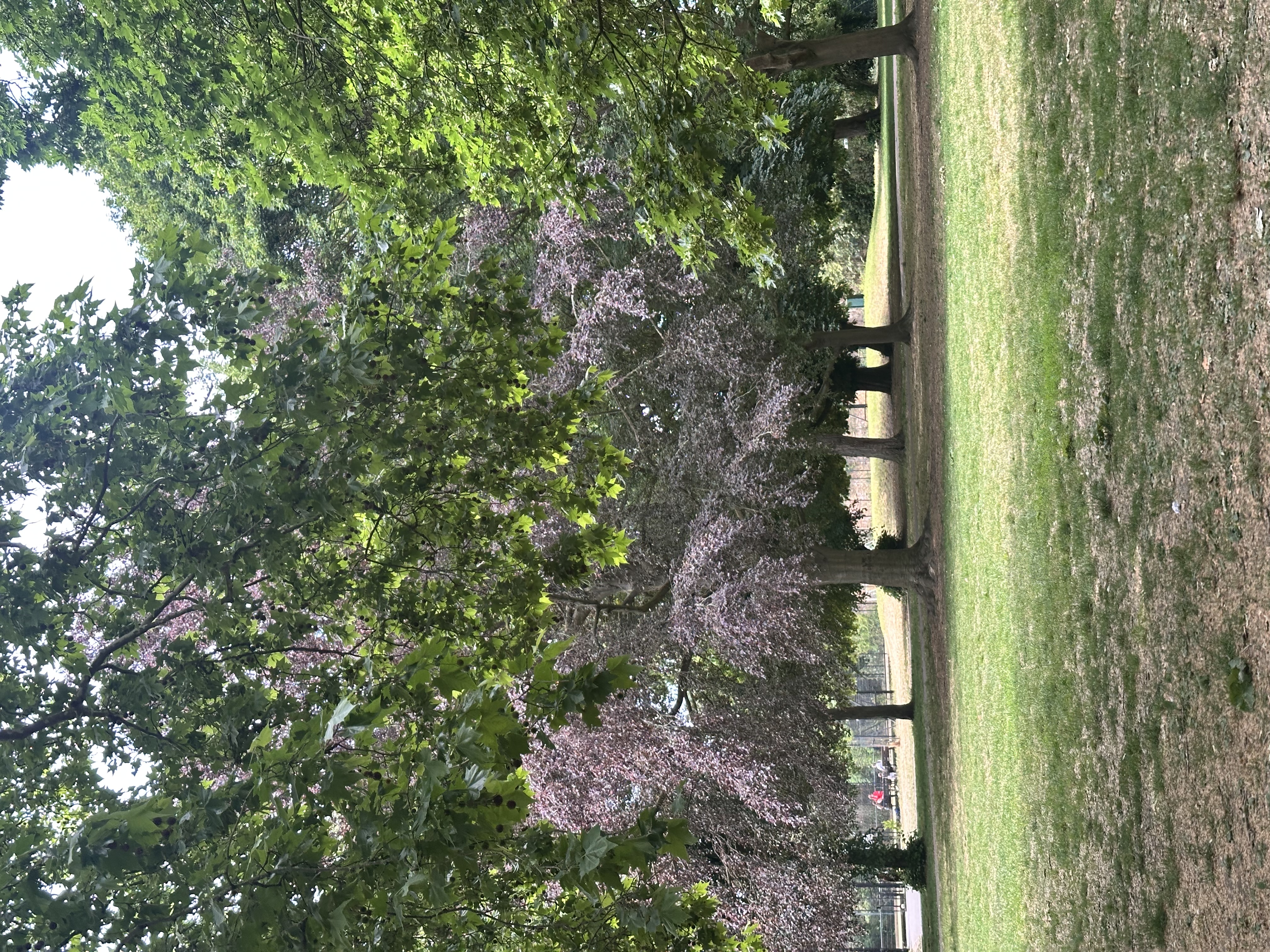image-20