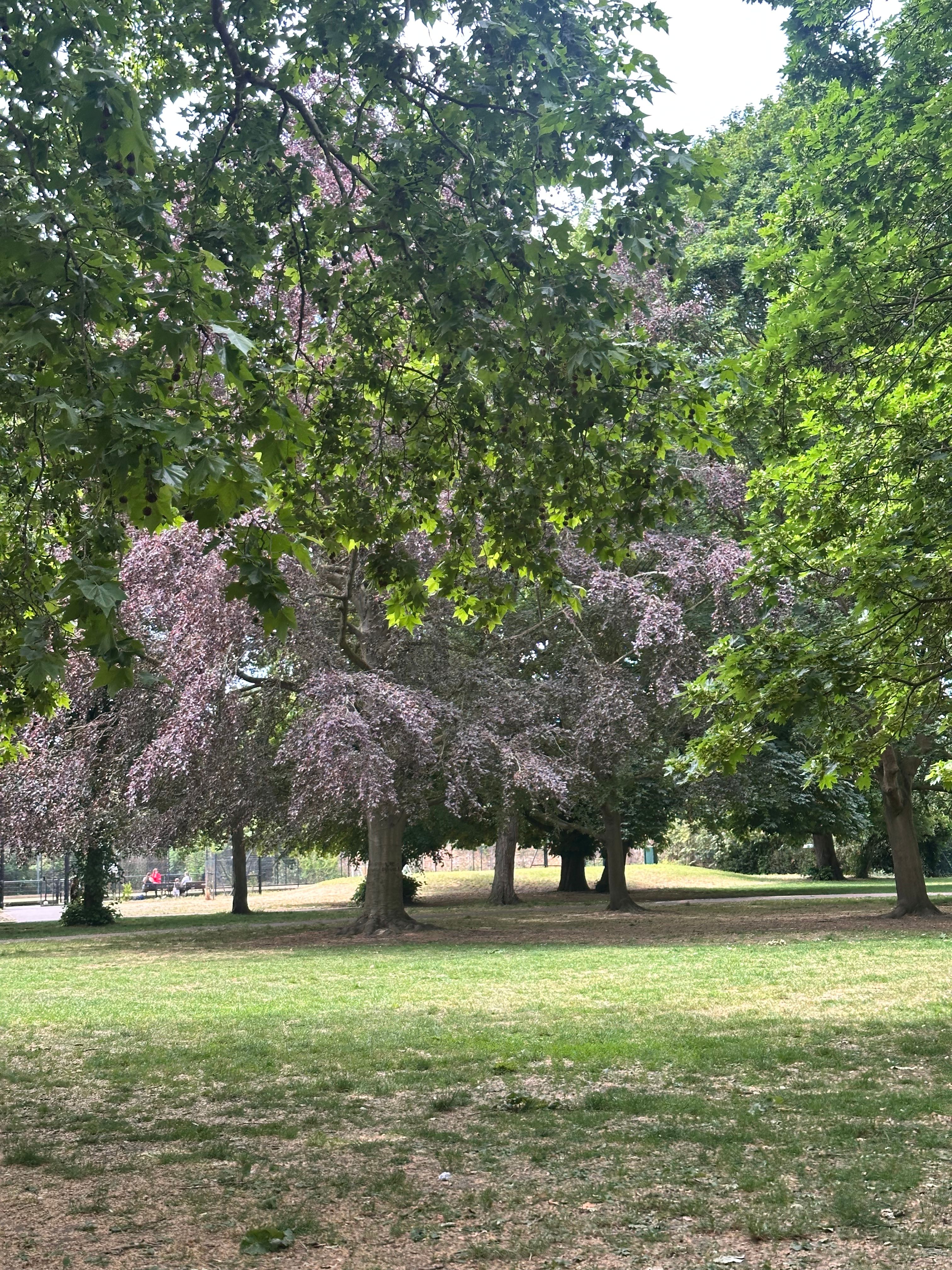 image-20