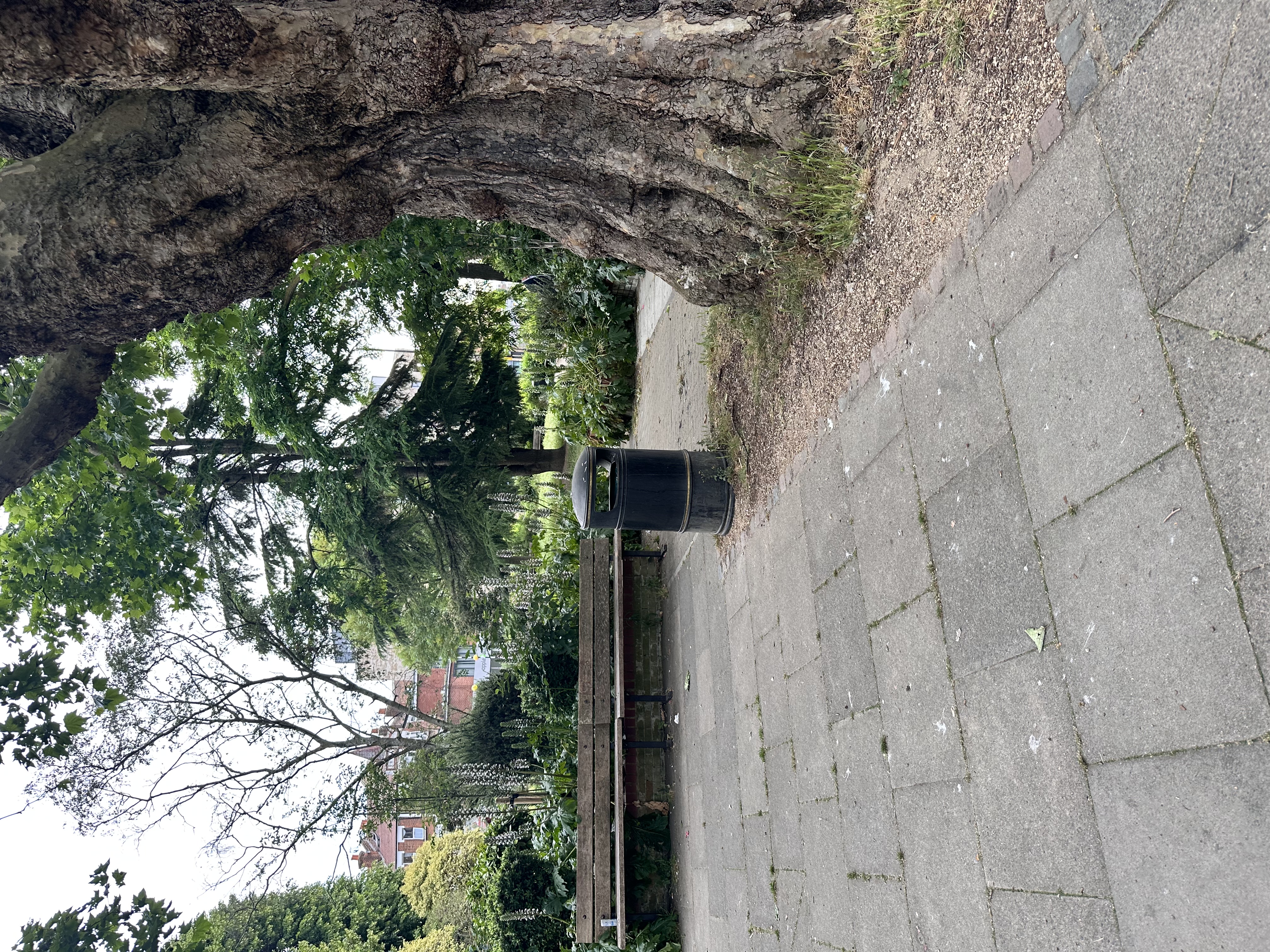 image-19