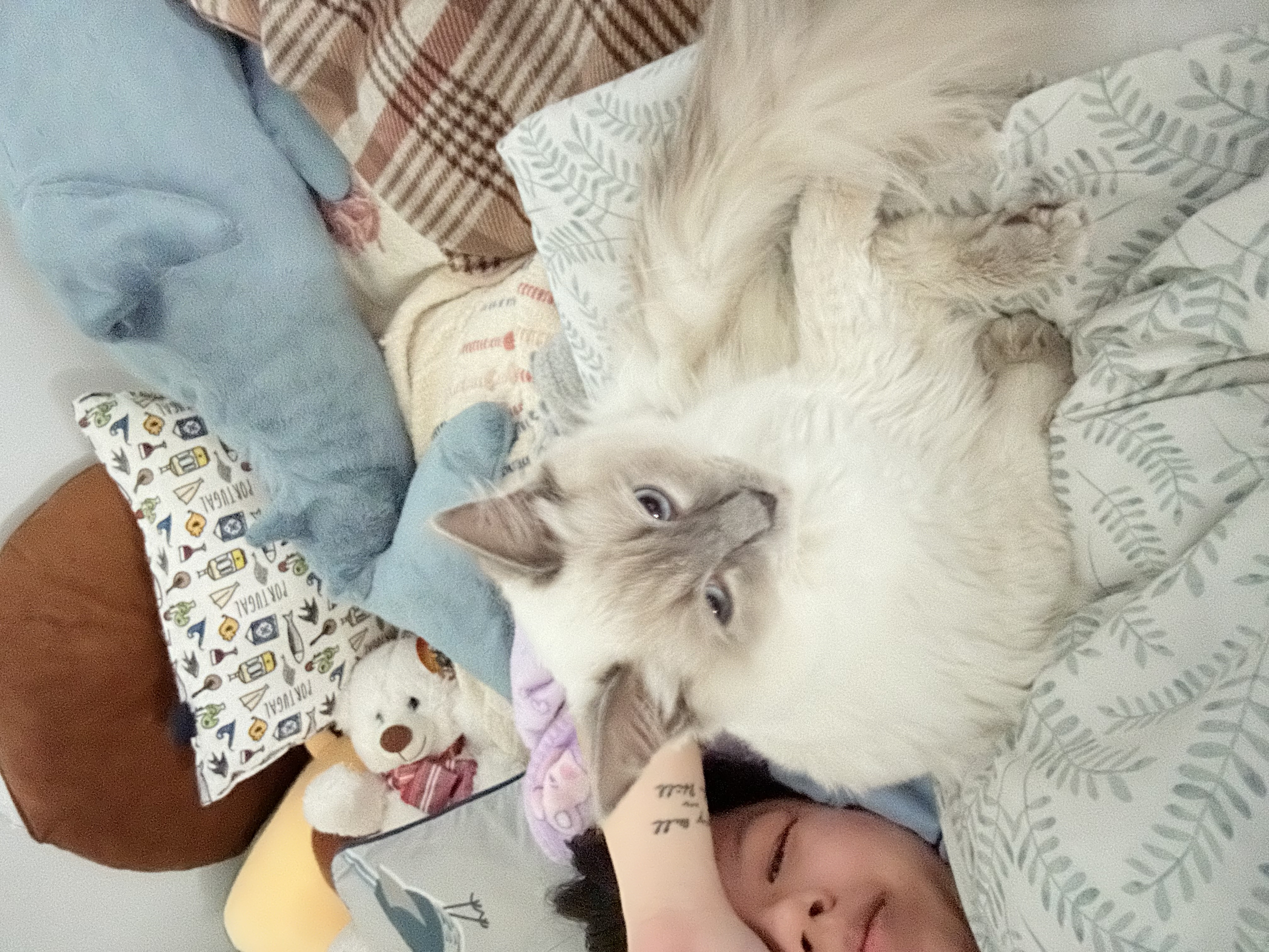 image-3