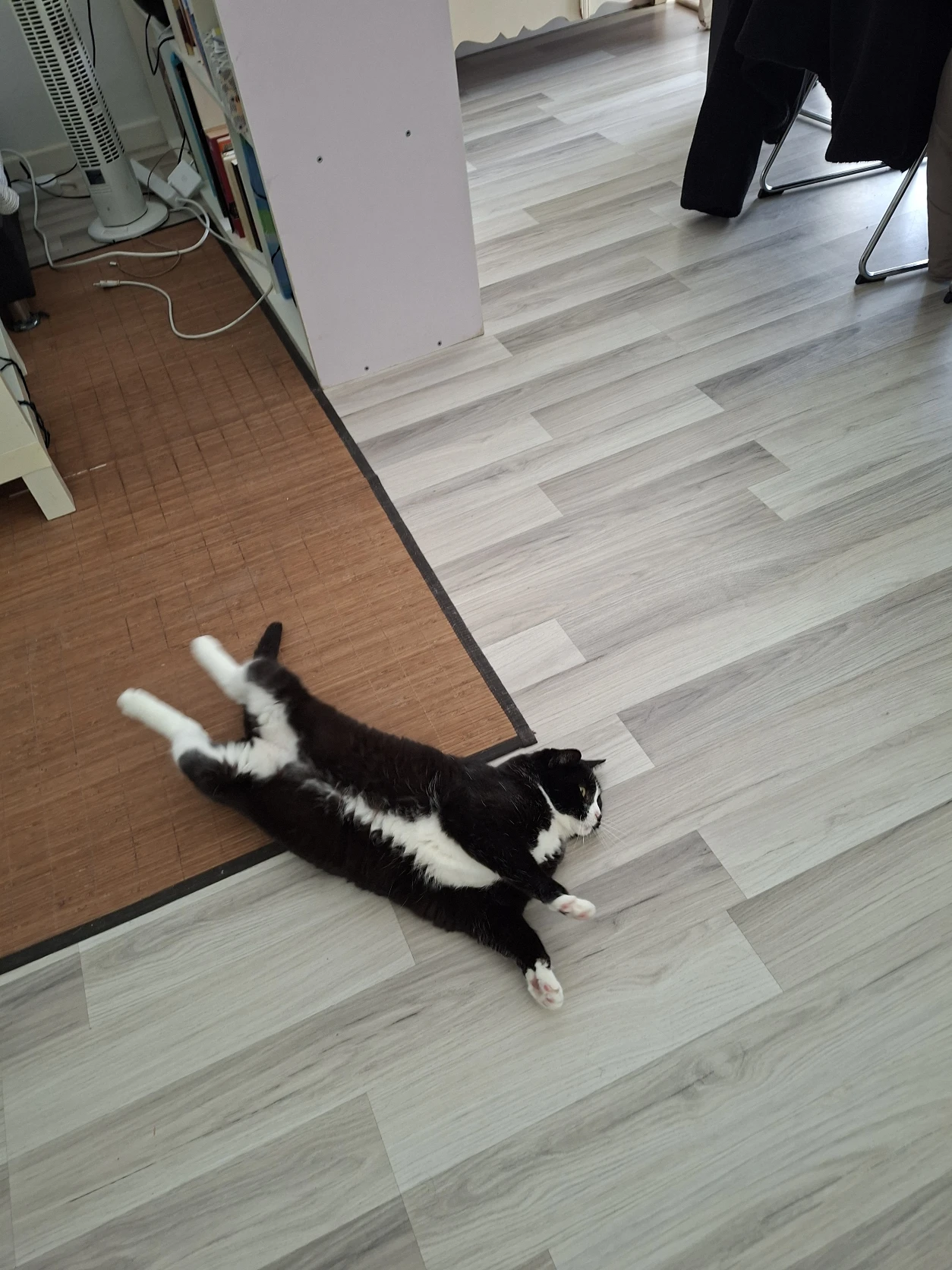 image-18