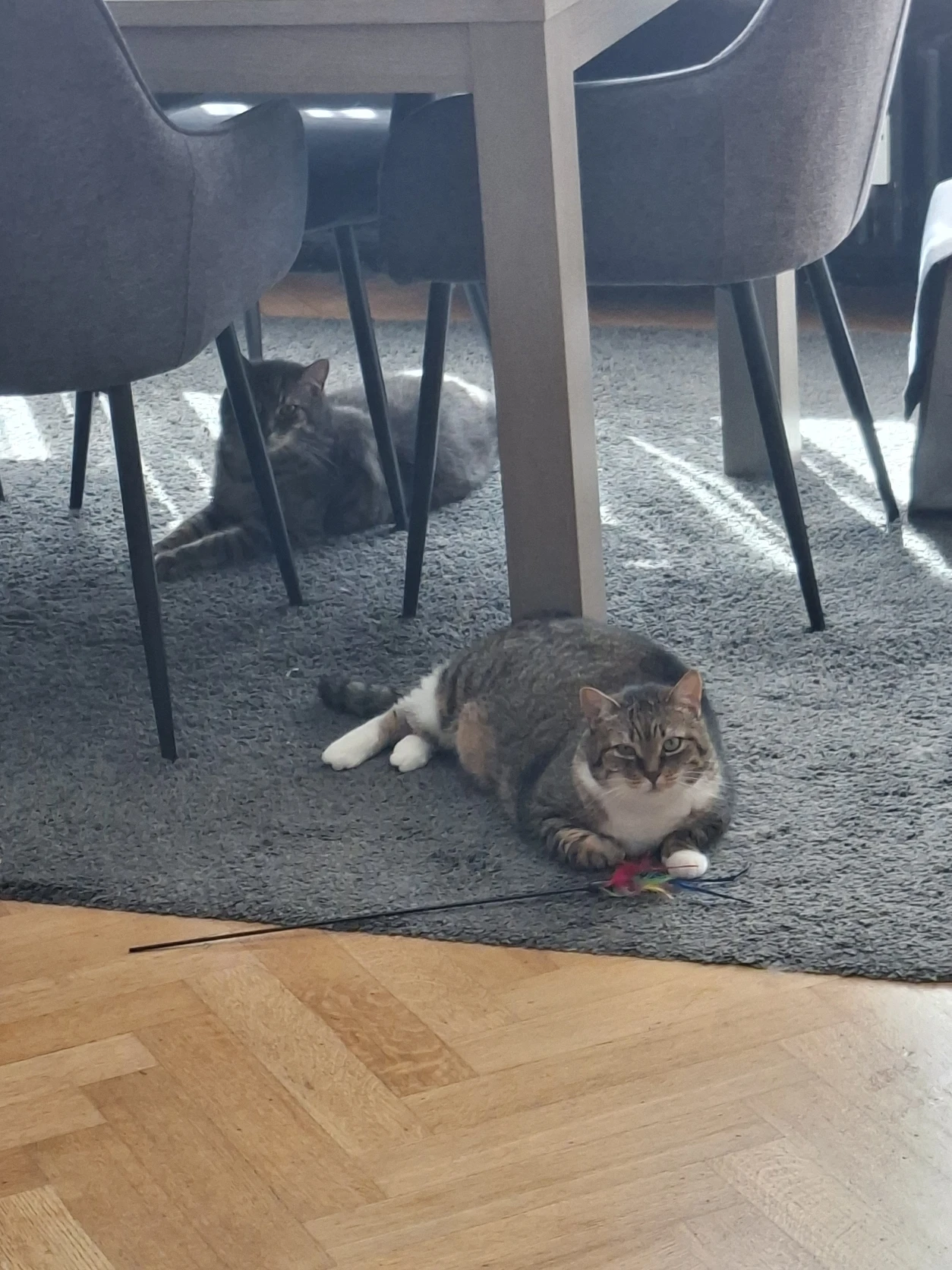 image-16