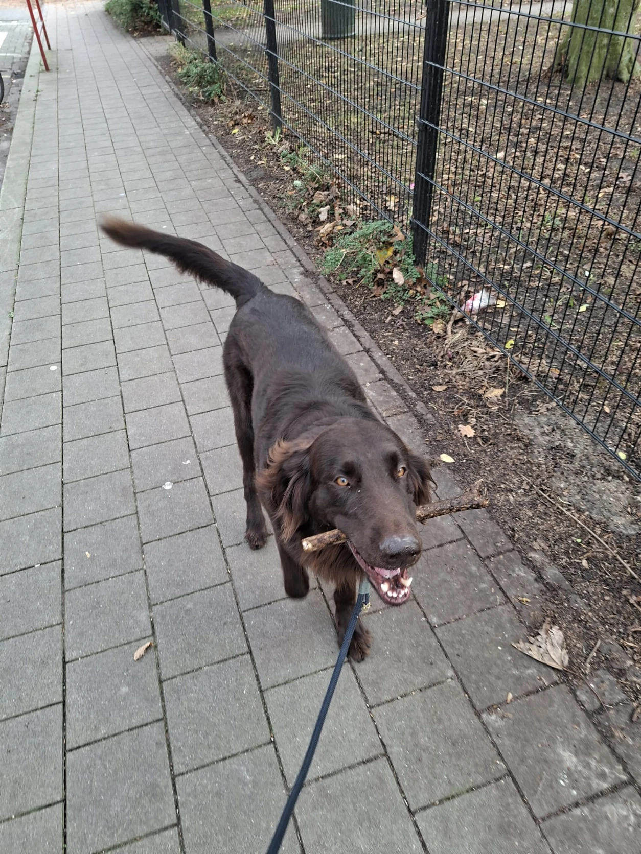 image-0
