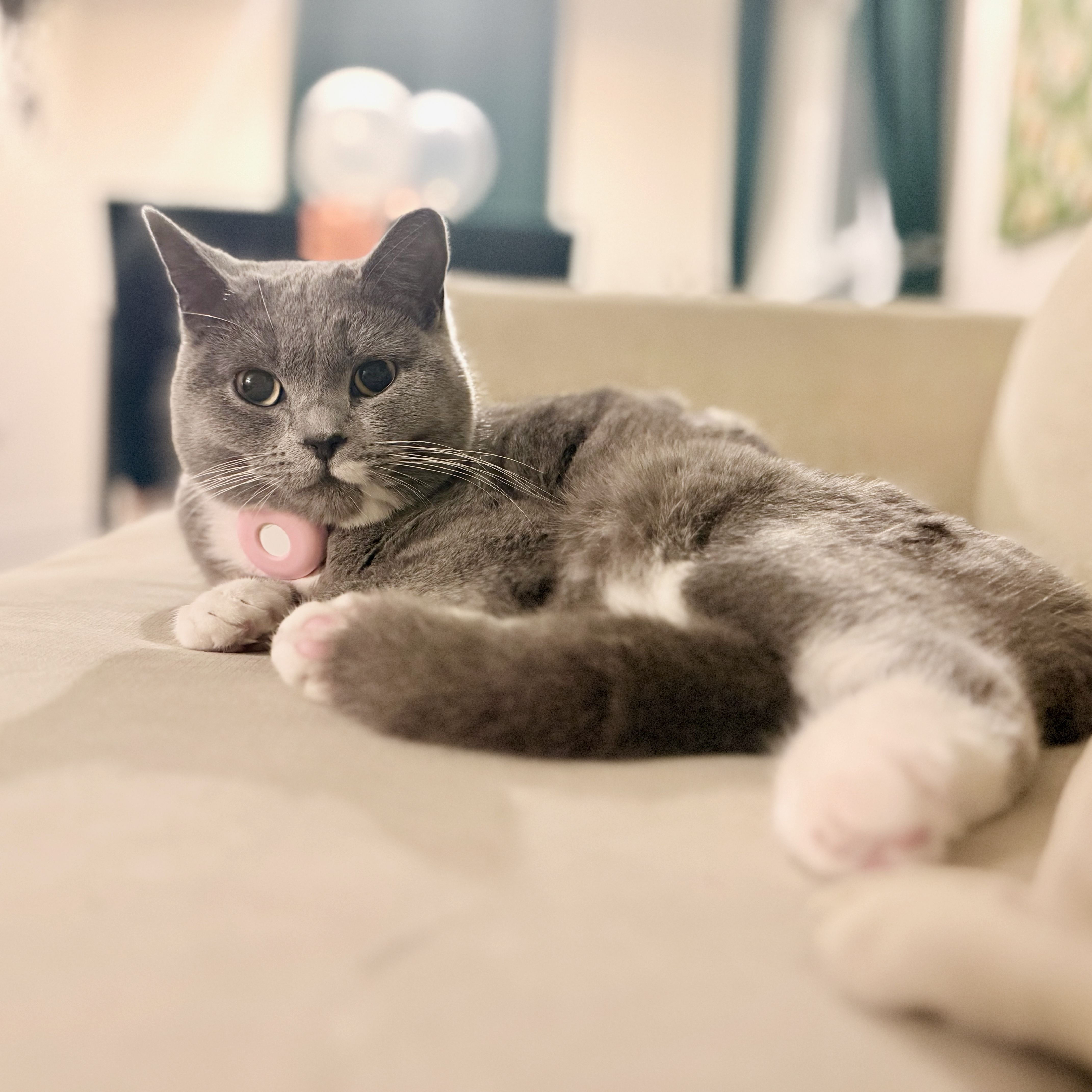 Jude