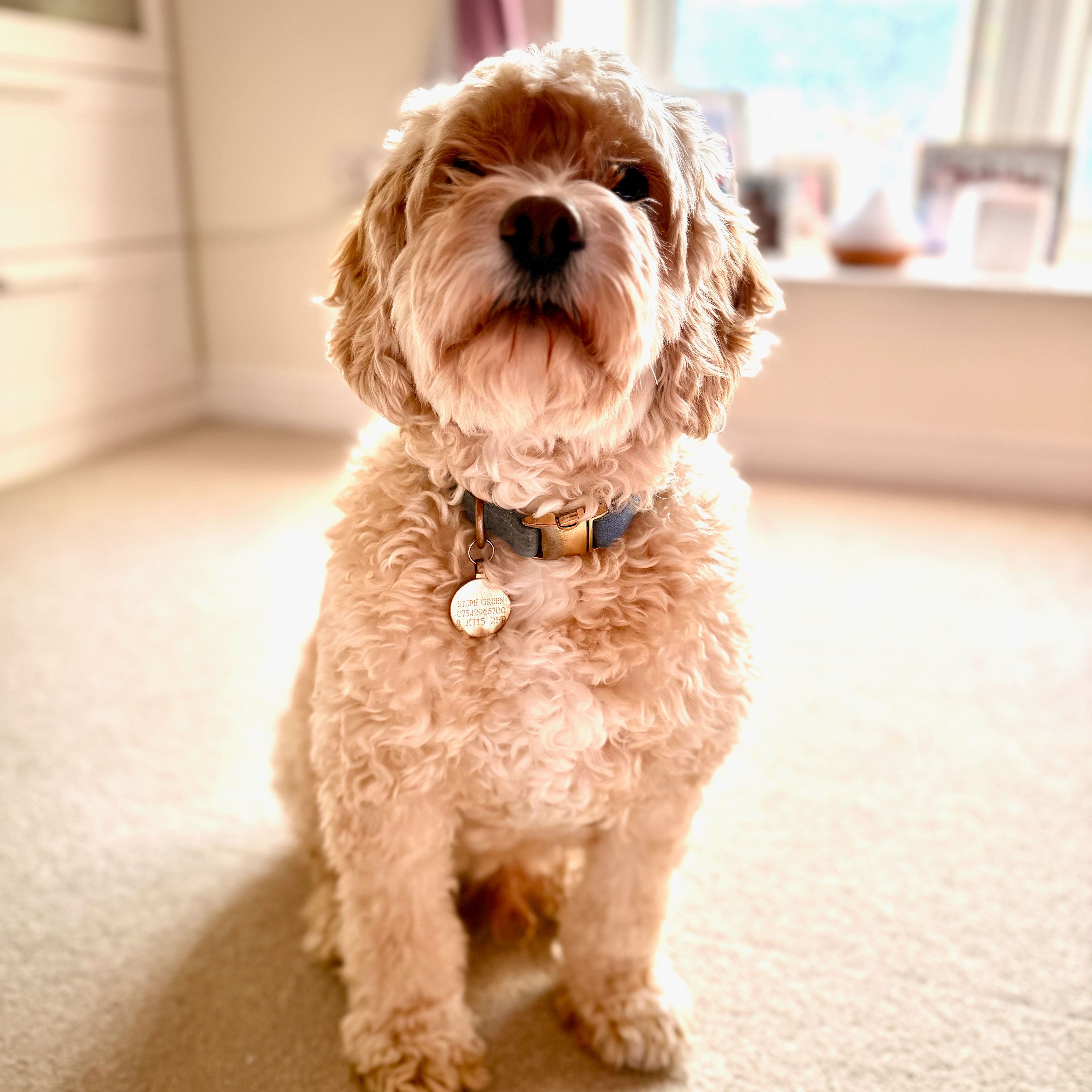 Toffee