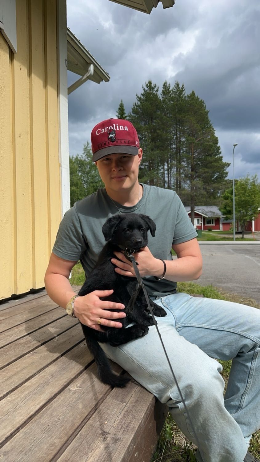 image-4