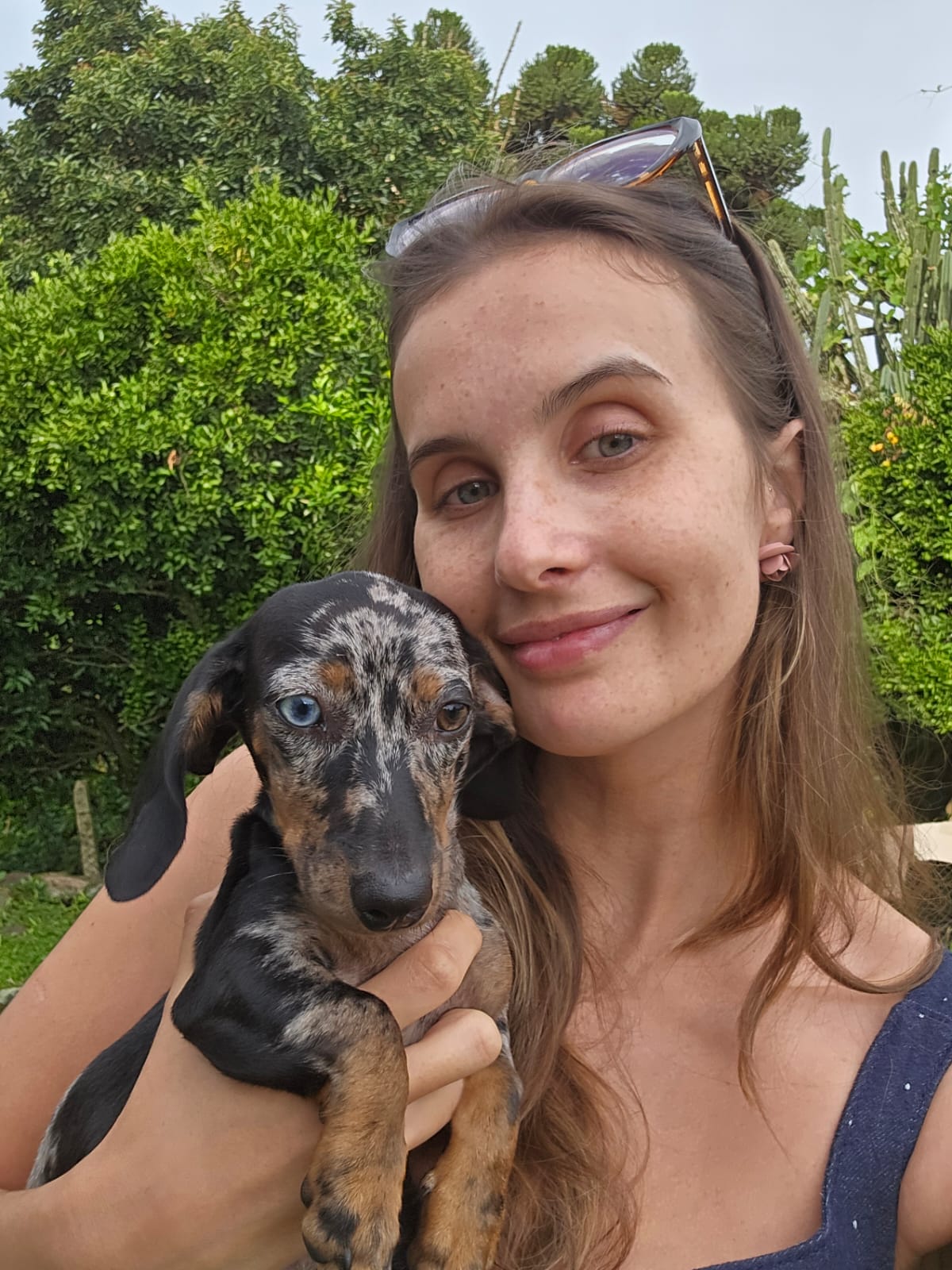 image-6