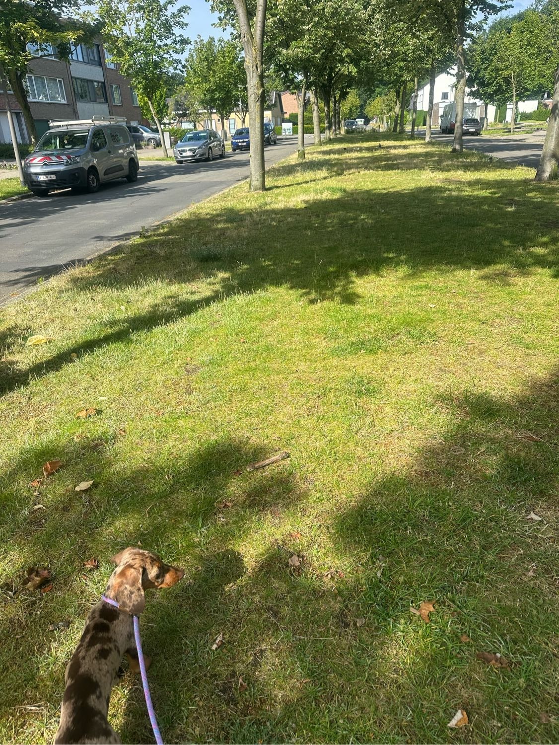 image-13