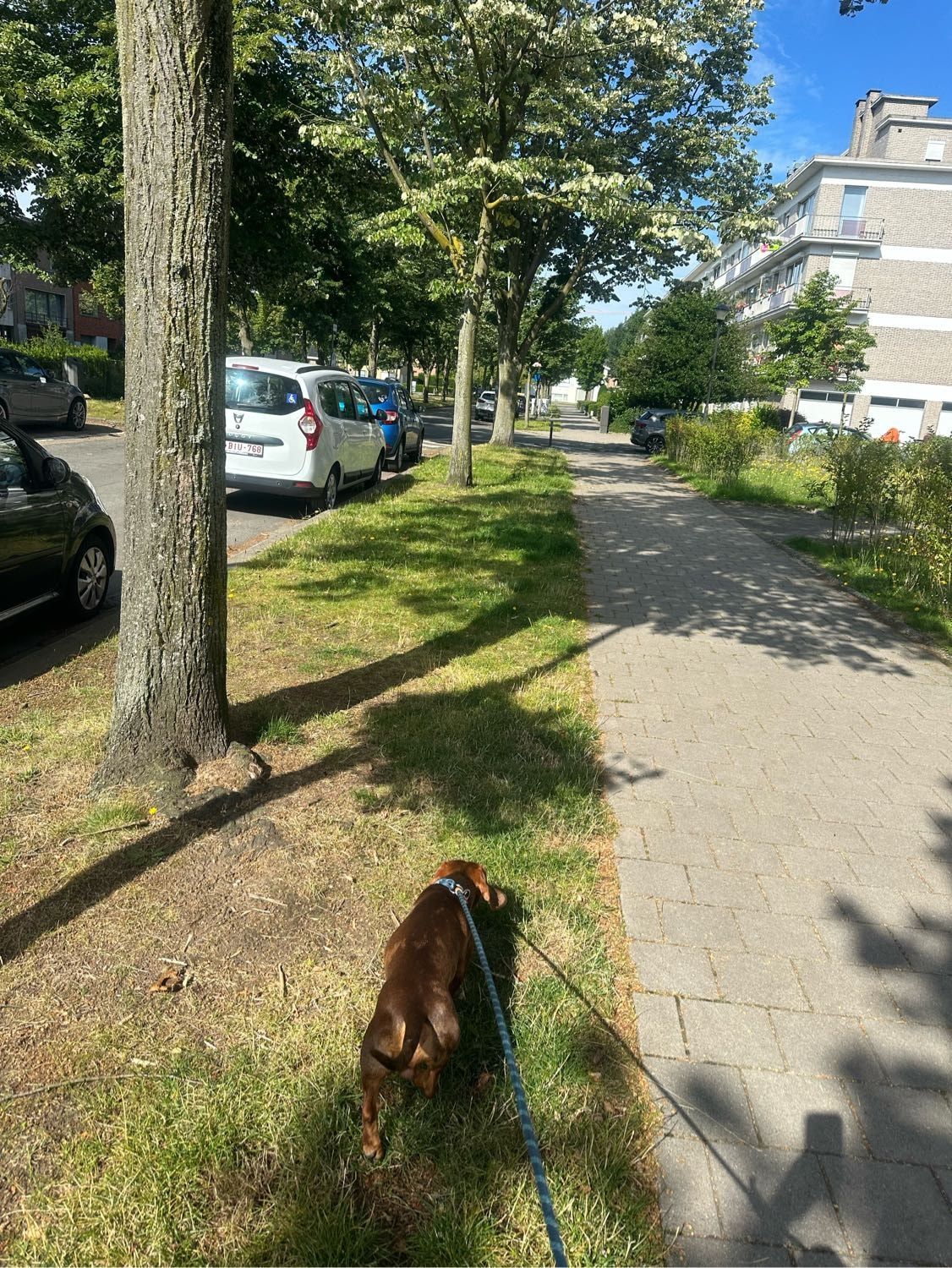 image-15